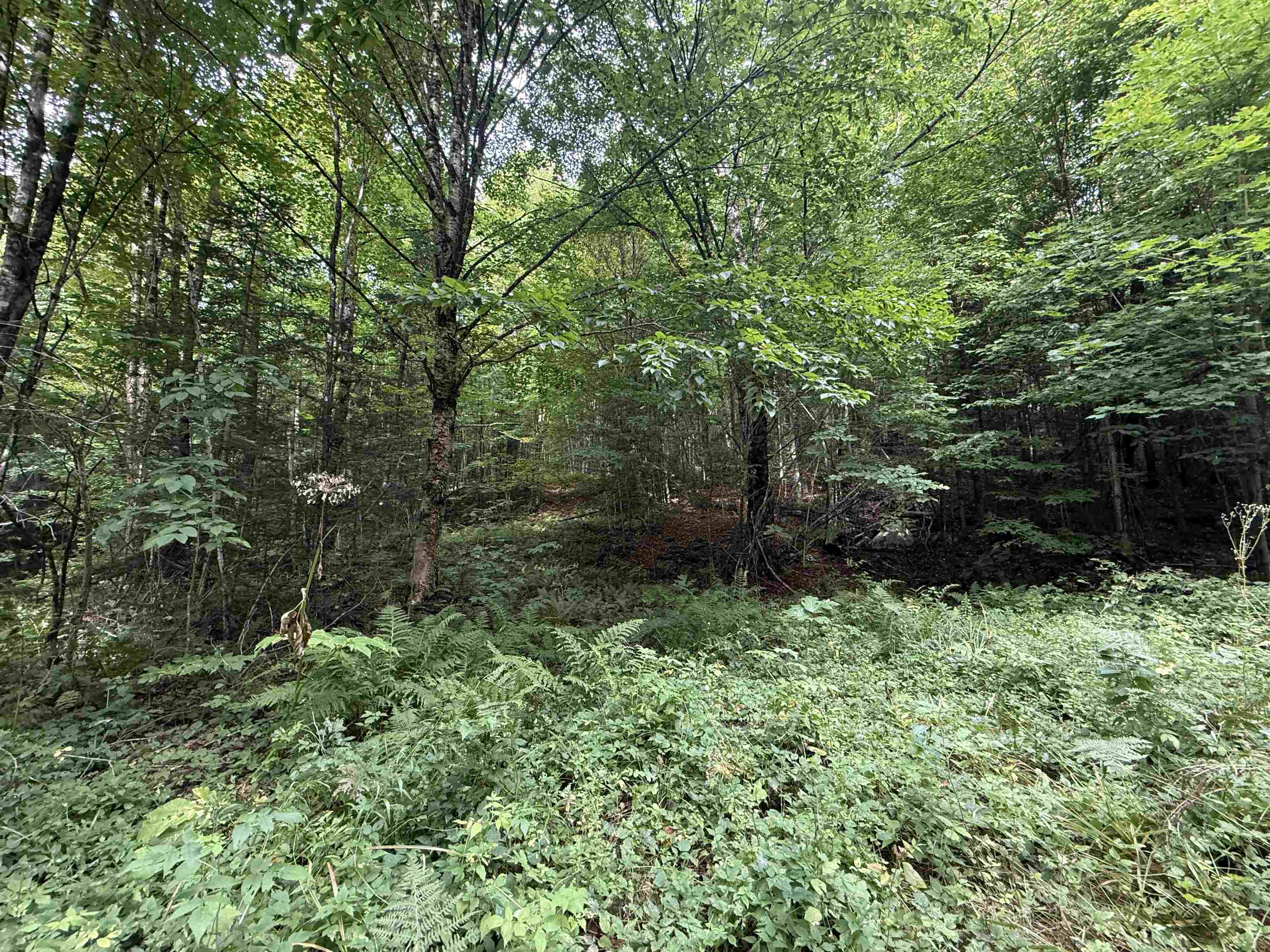 0 North Road Property Photo 9