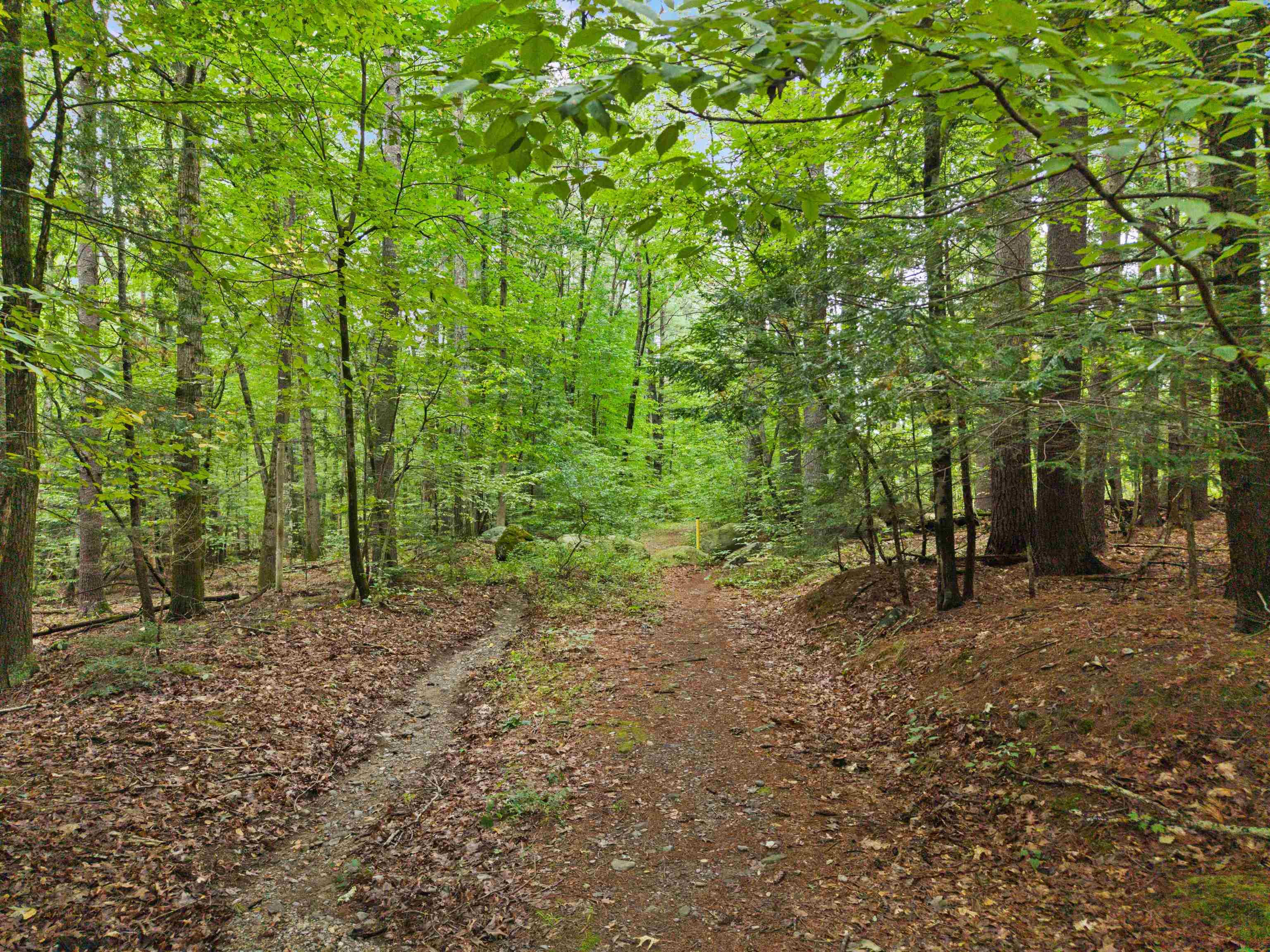 00 Deerwood Drive Property Photo 8
