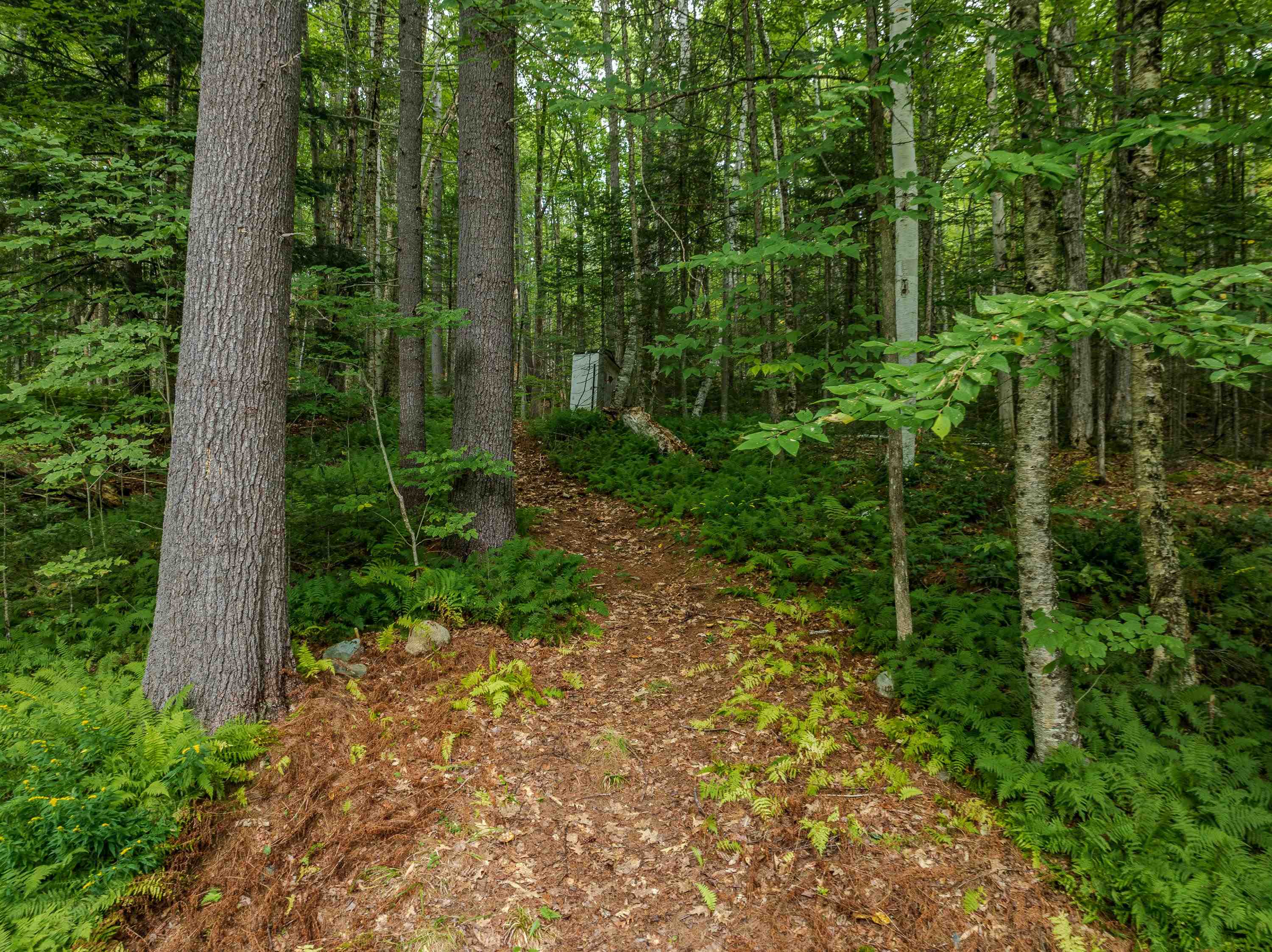 848 Faraway Road Property Photo 32
