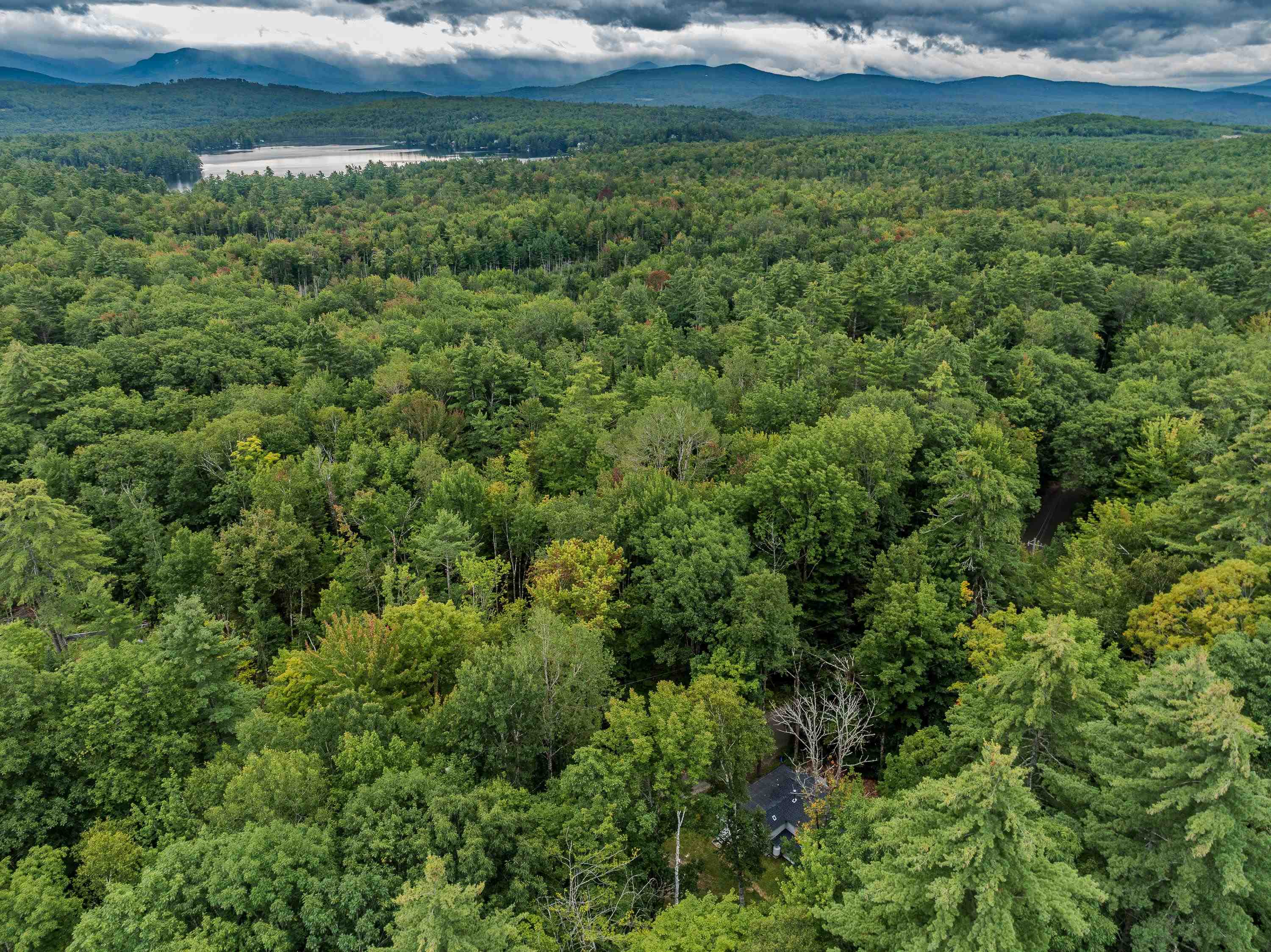 848 Faraway Road Property Photo 39
