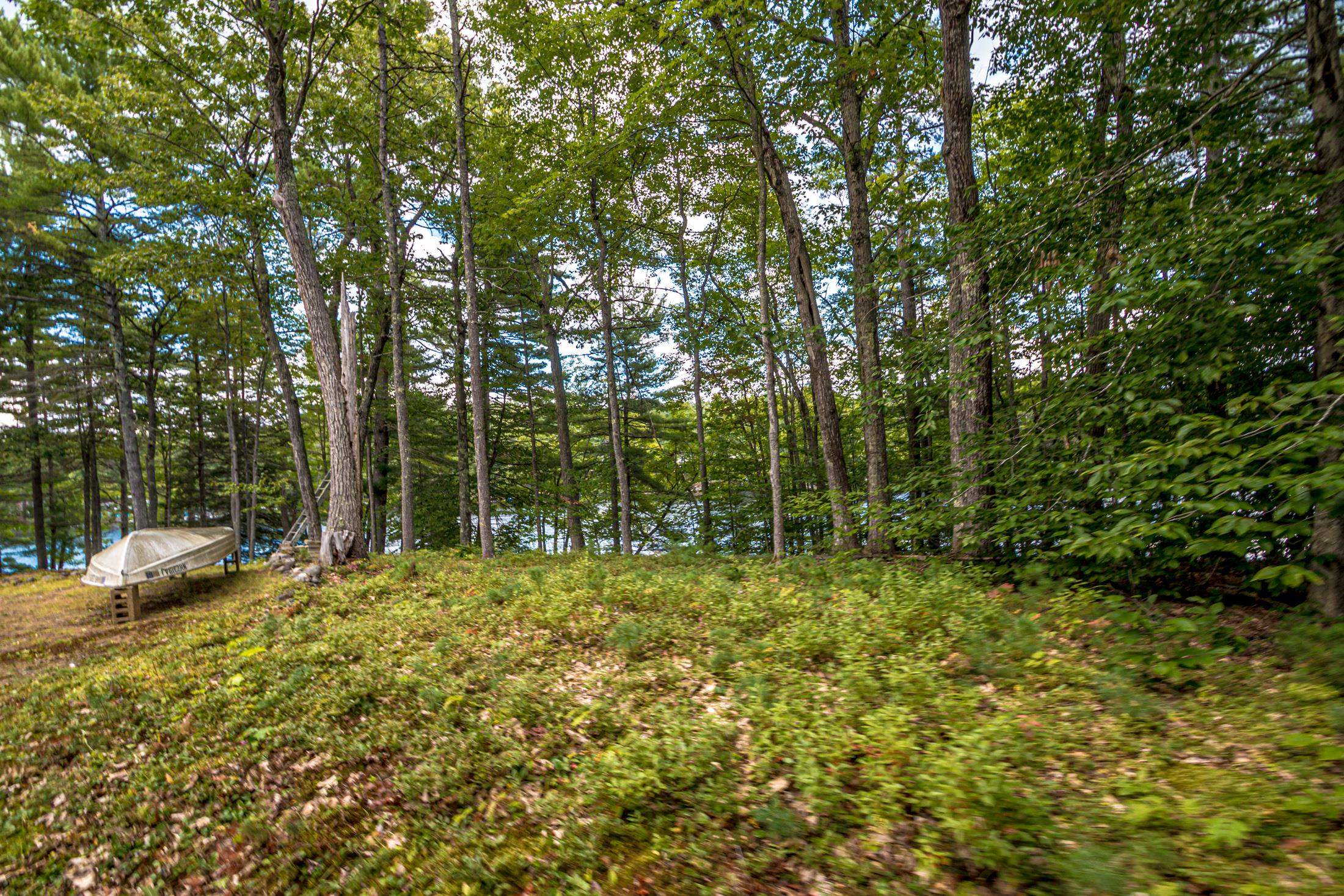 234 North Road Property Photo 54