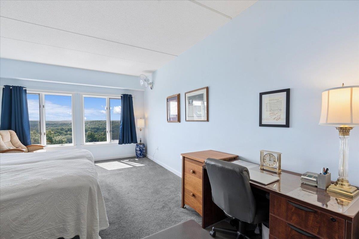 12 Mountain Laurels Drive Property Photo 23