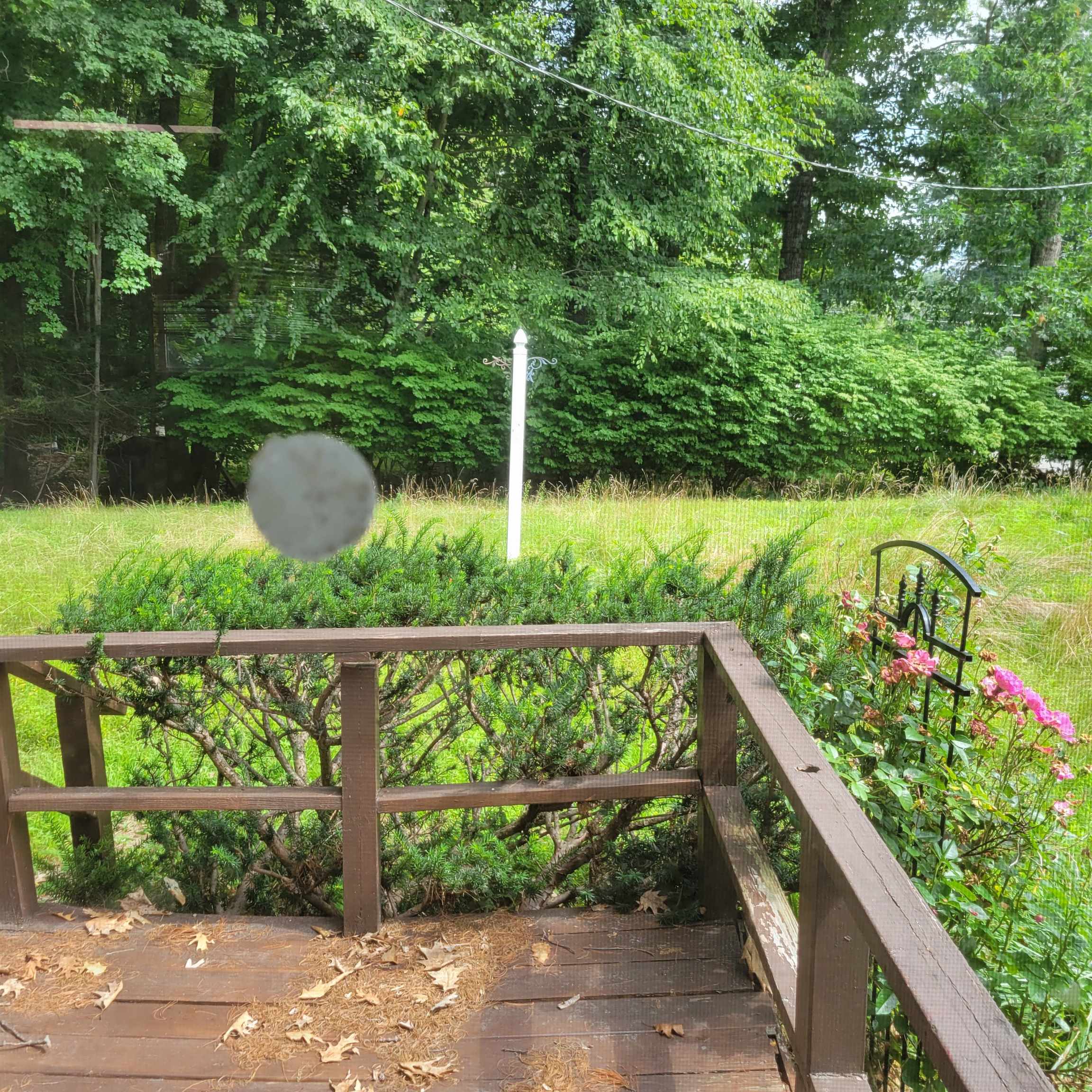 14 Susan Street Property Photo 3