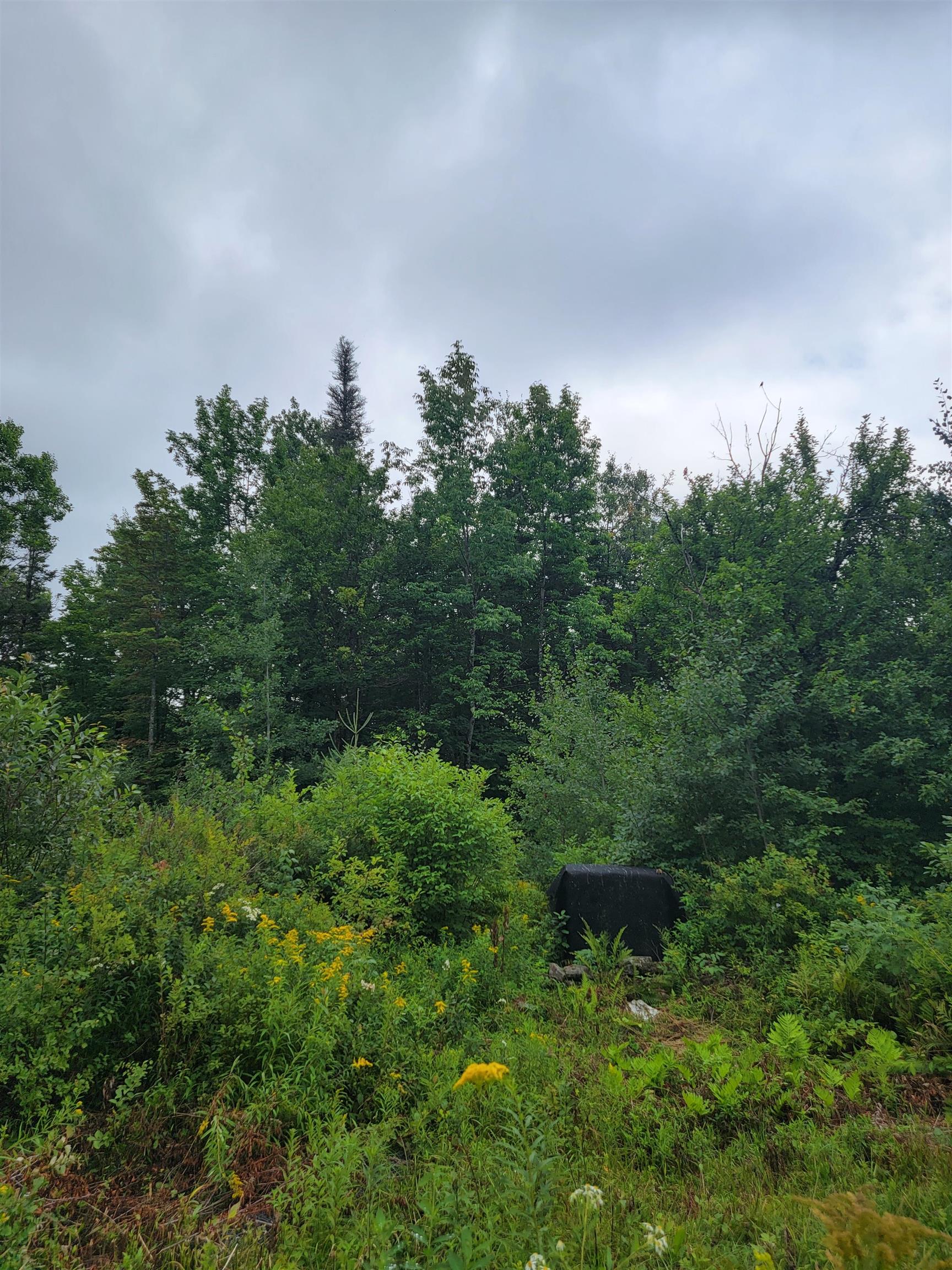 1530 Somerset Road Property Photo 1