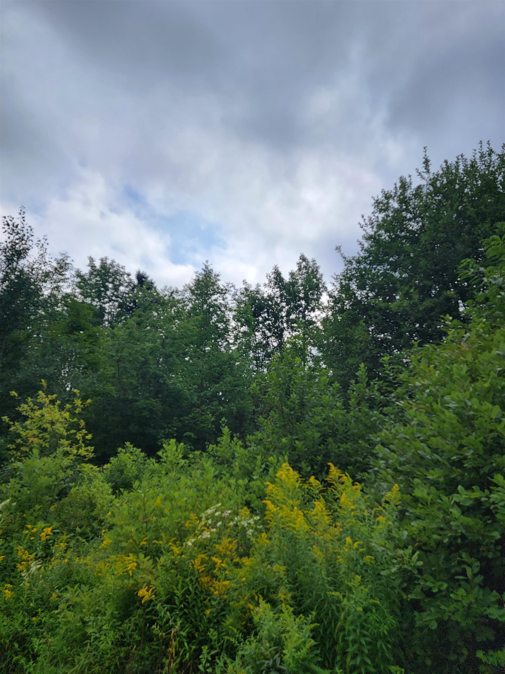 1530 Somerset Road Property Photo 8