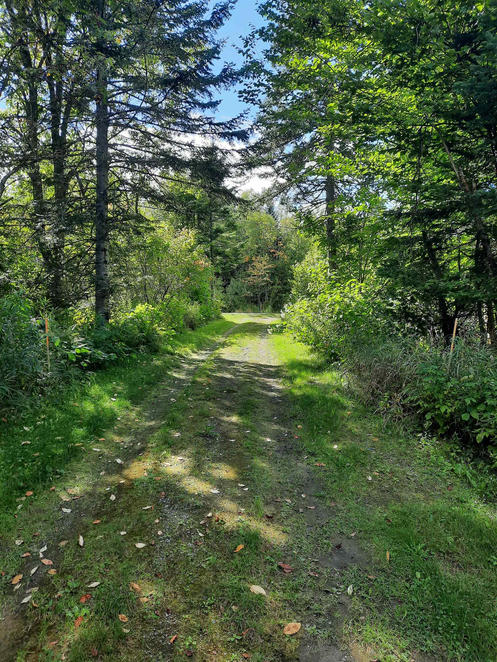 7 Philbrook Road Property Photo 6