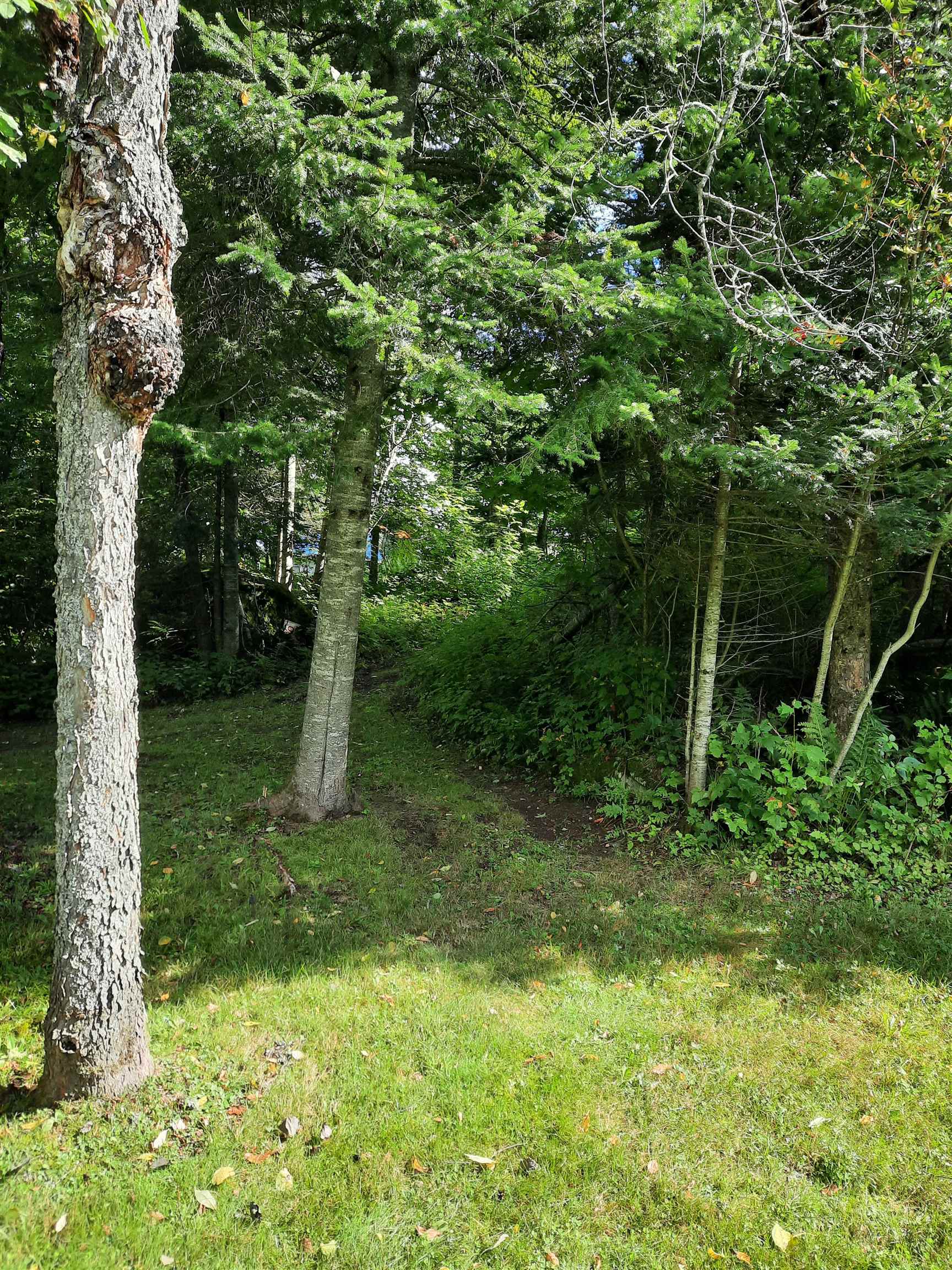 7 Philbrook Road Property Photo 8