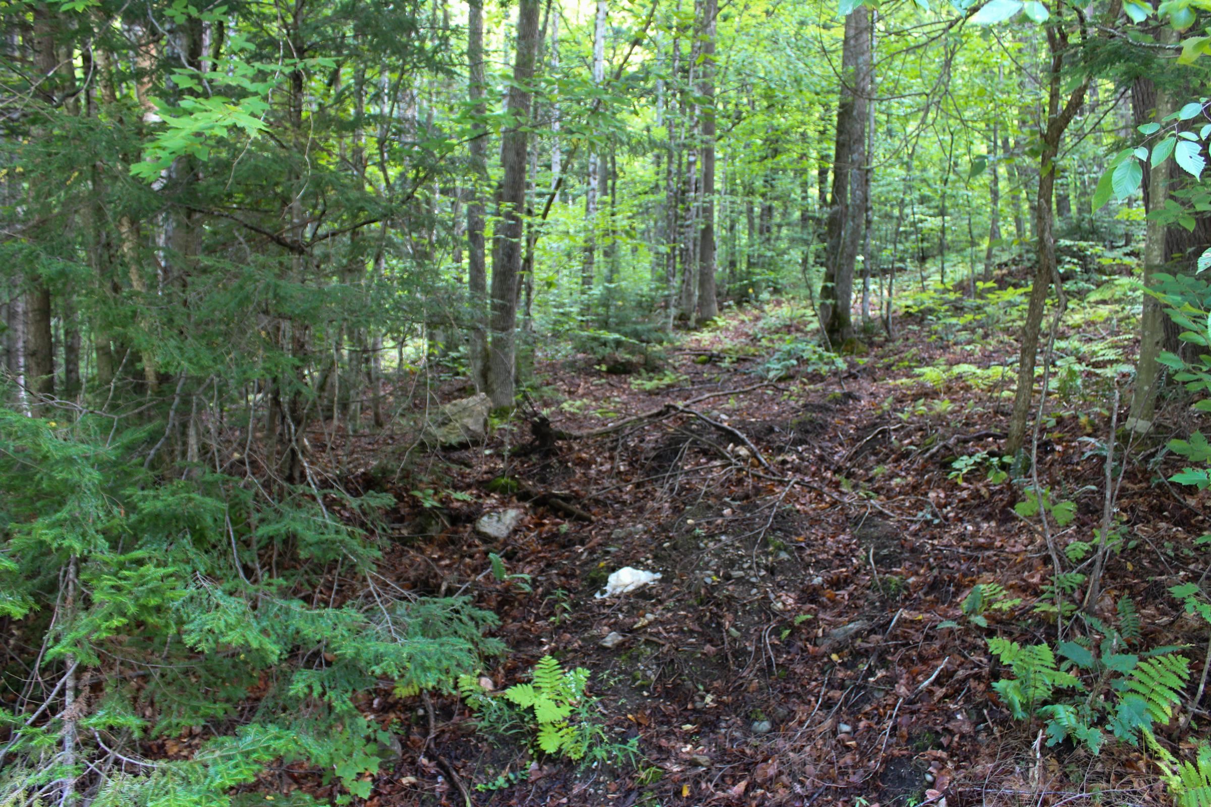 00 Hillcrest Road Property Photo 1