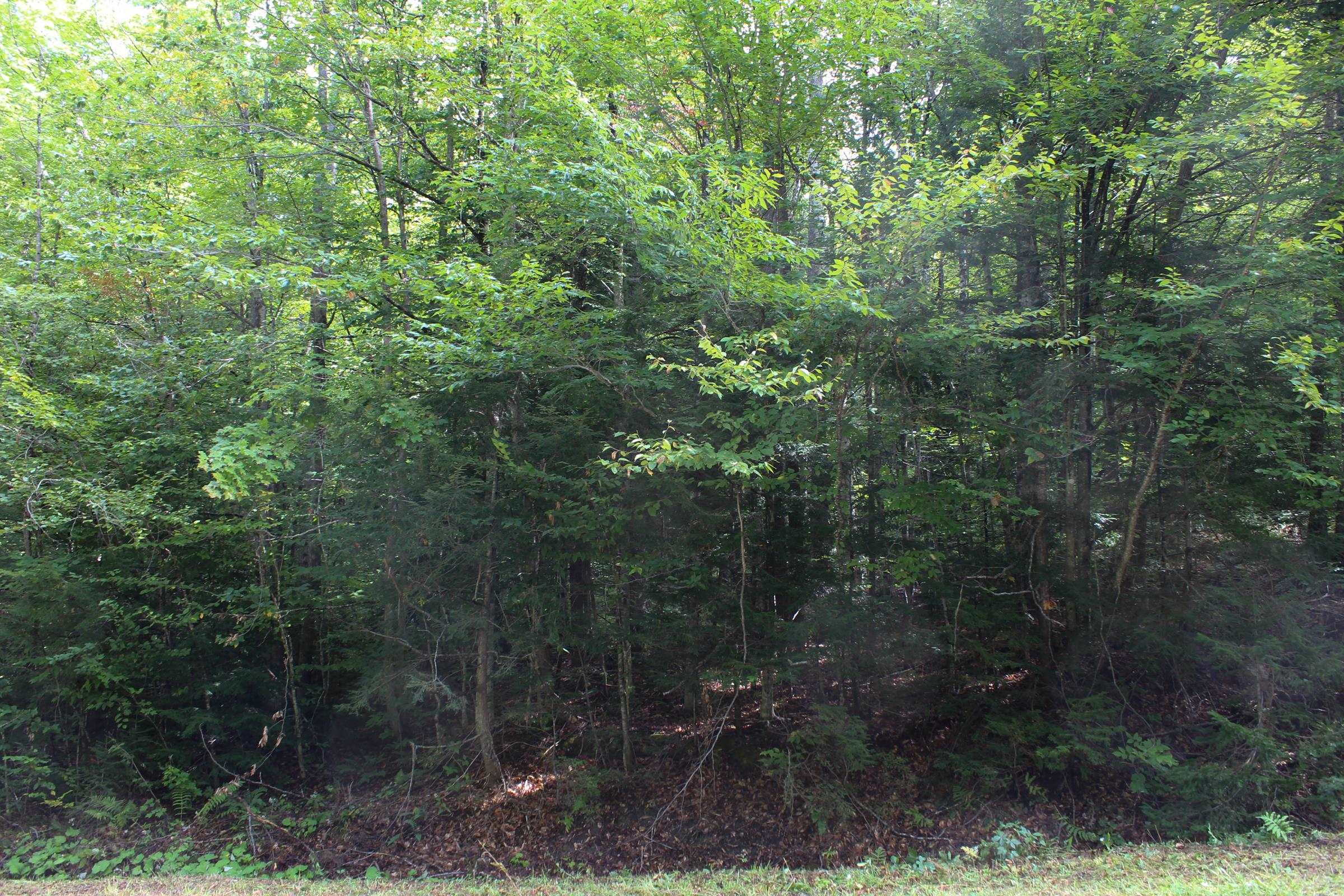 00 Hillcrest Road Property Photo 2