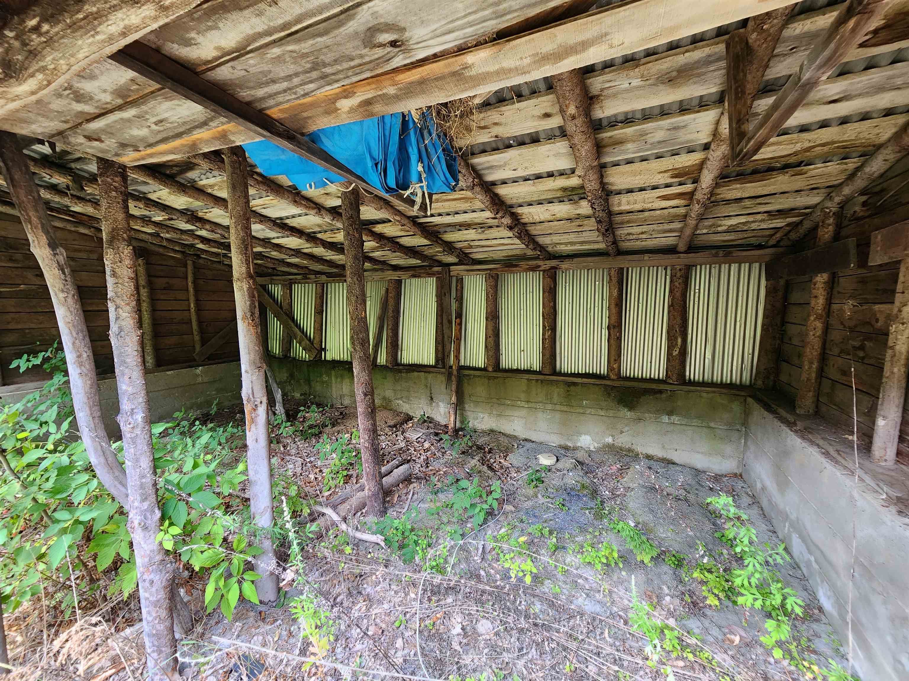 48 Pike Hill Road W Property Photo 37