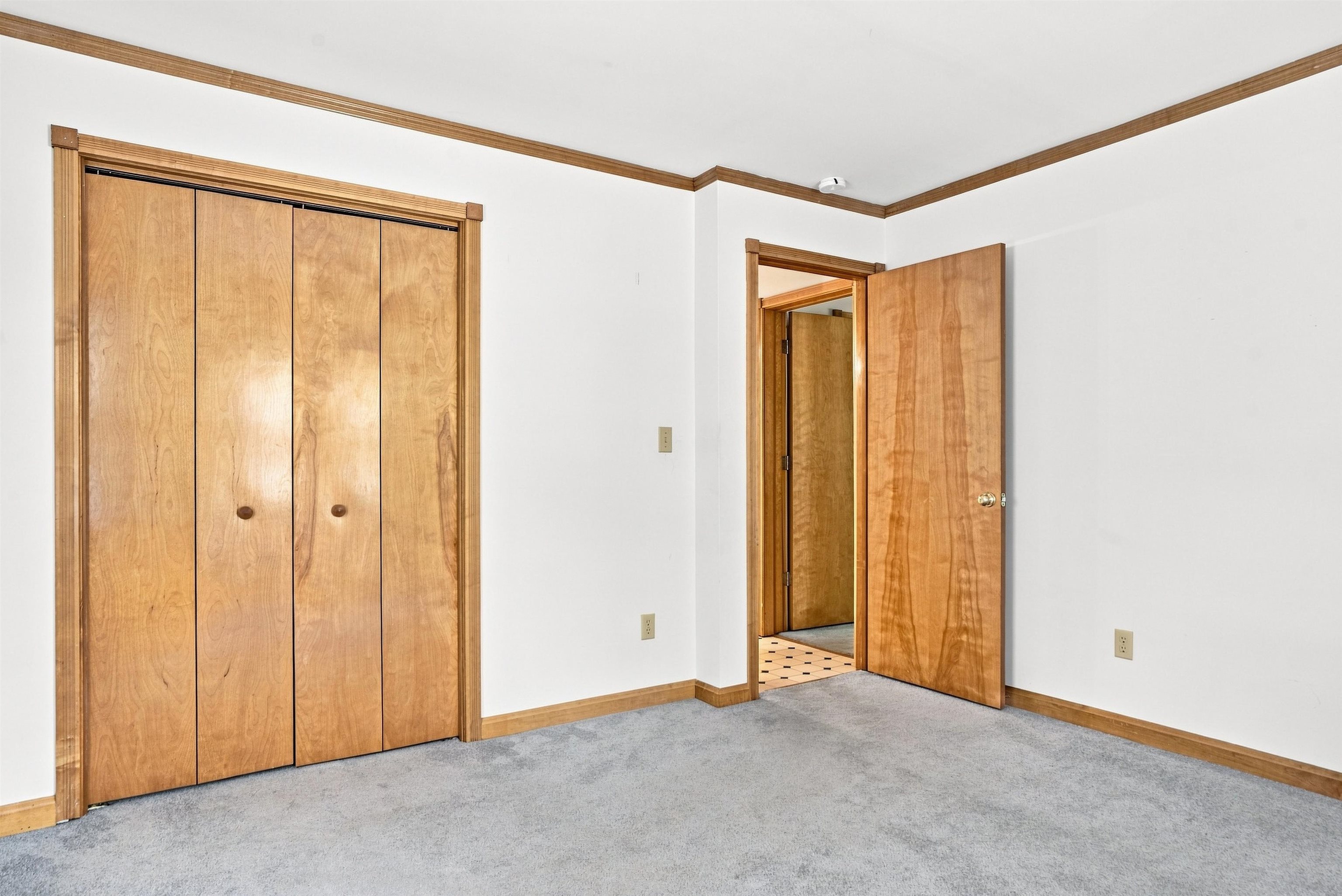 47 Mathews Road Property Photo 21