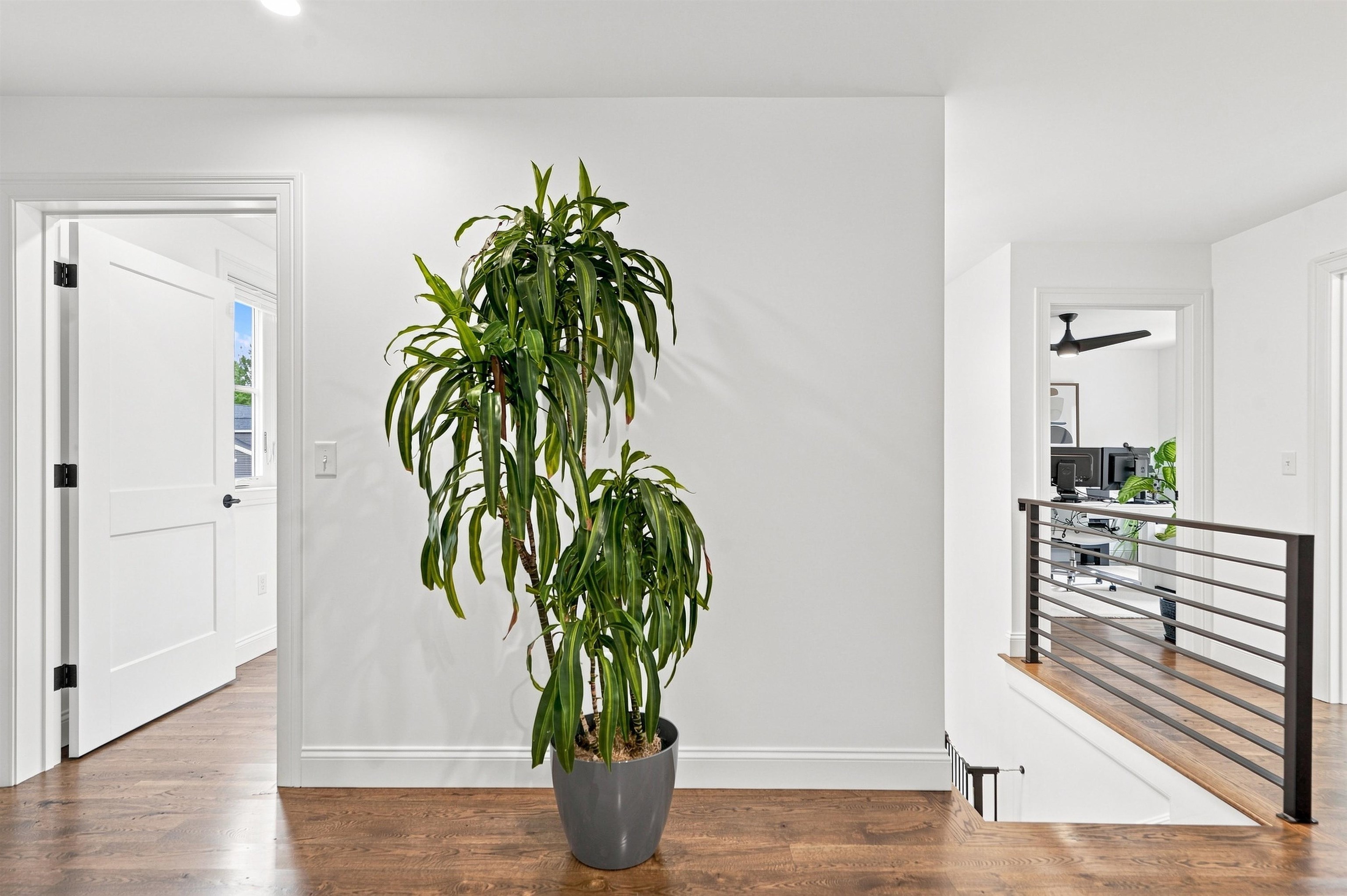 19 Wild Apple Lane Property Photo 40