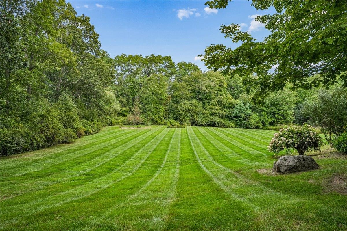 81 Blood Road Property Photo 58