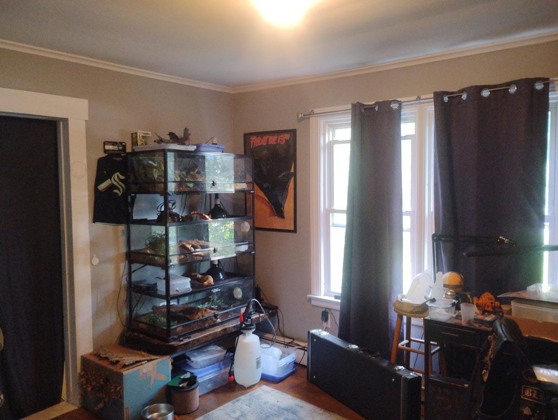 6 West Street Property Photo 11
