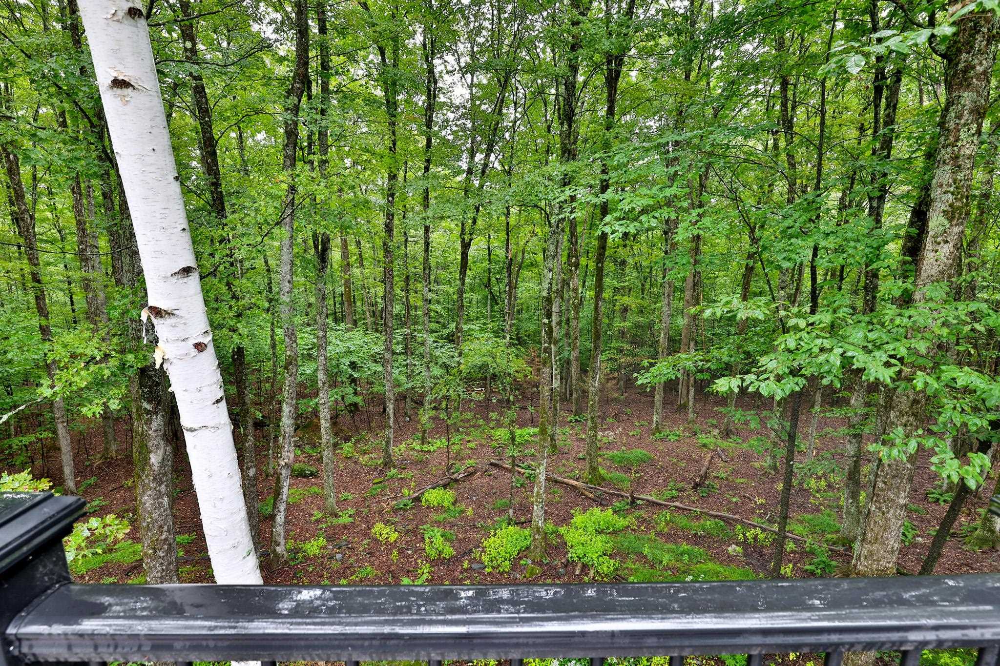 28 Mountain View Drive Property Photo 36