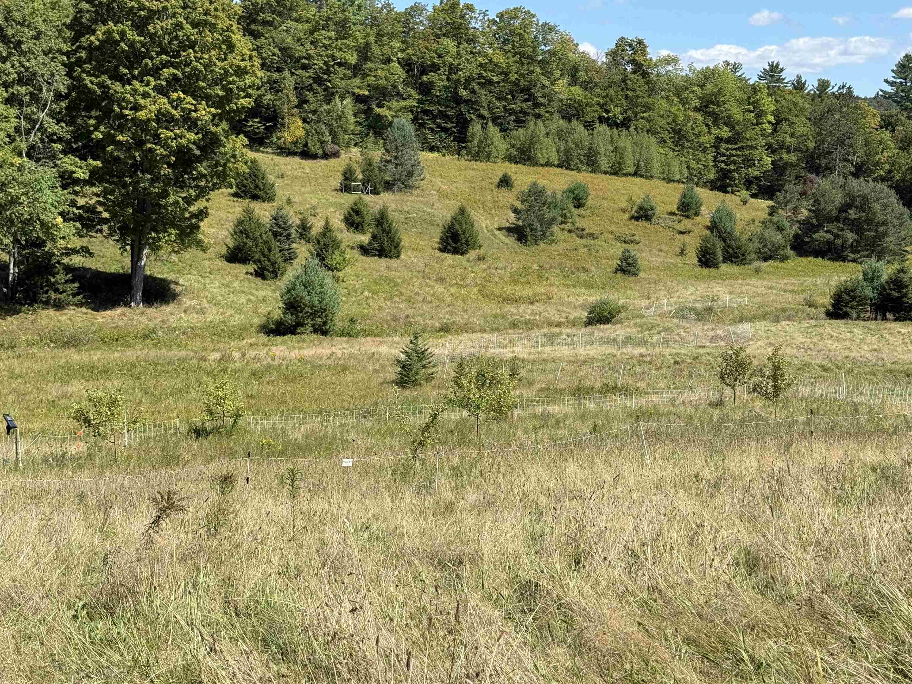 1720 Macintosh Hill Road Property Photo 28