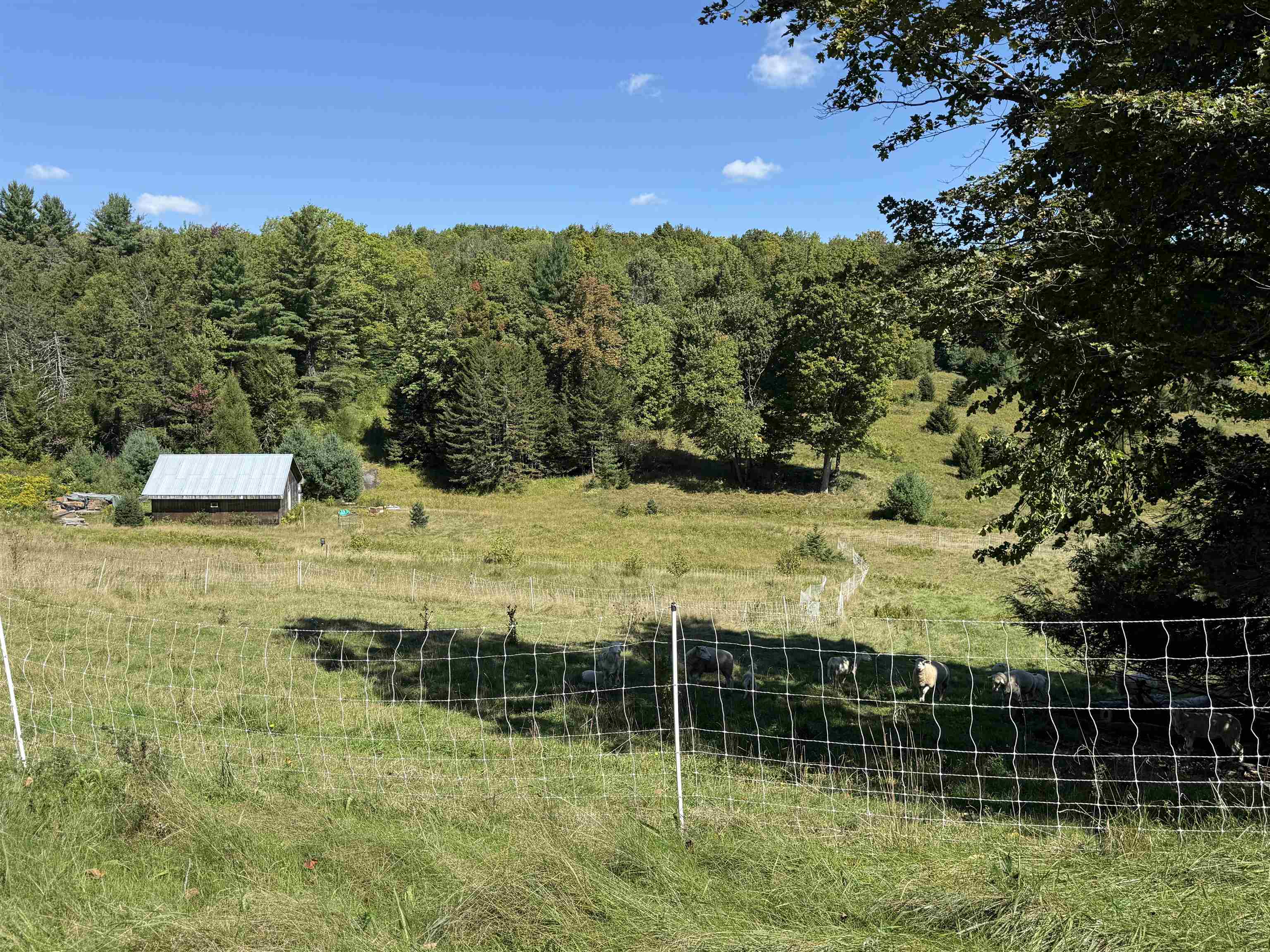 1720 Macintosh Hill Road Property Photo 30
