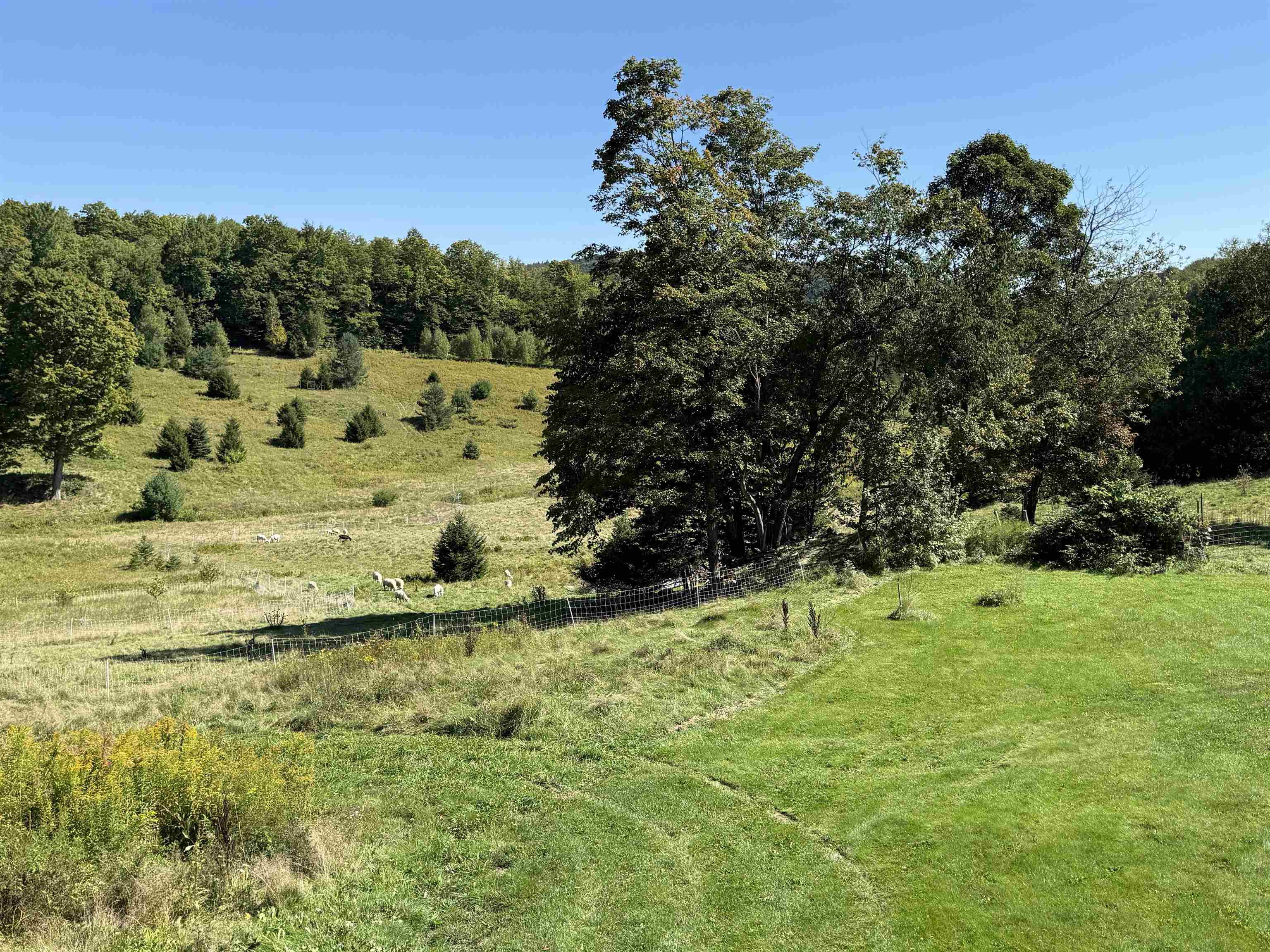 1720 Macintosh Hill Road Property Photo 32