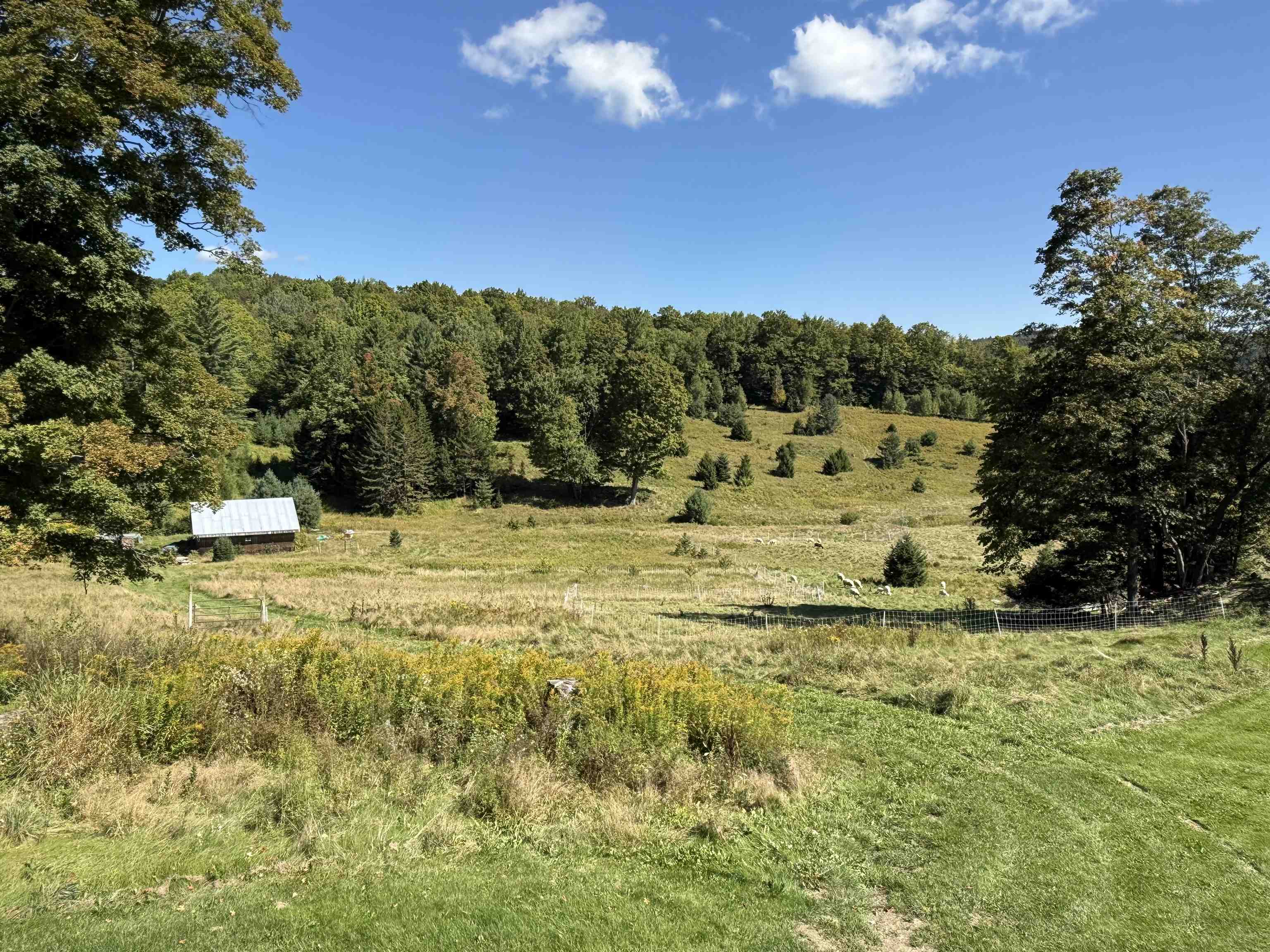 1720 Macintosh Hill Road Property Photo 33