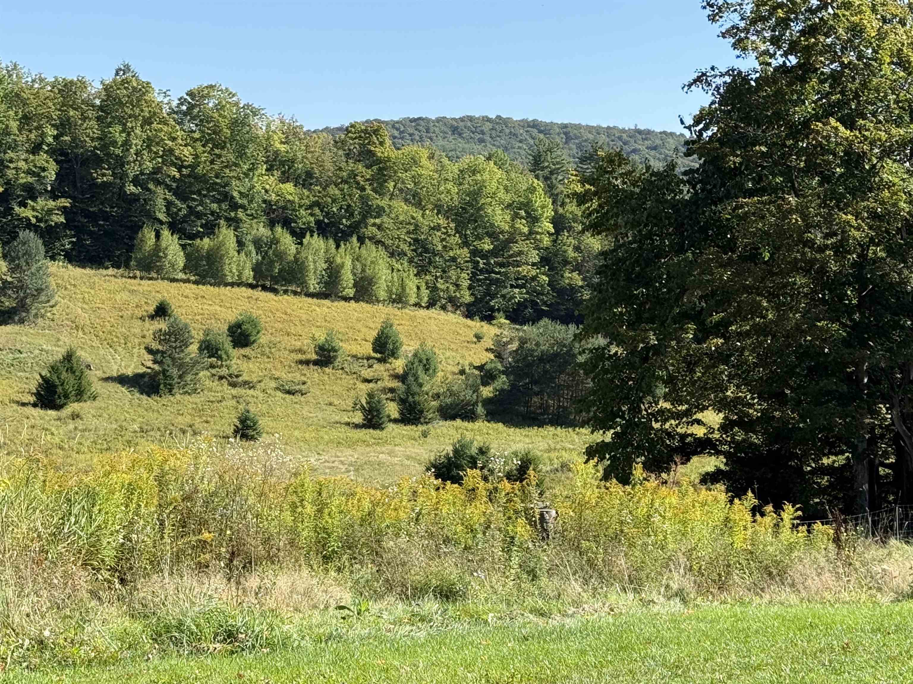 1720 Macintosh Hill Road Property Photo 34