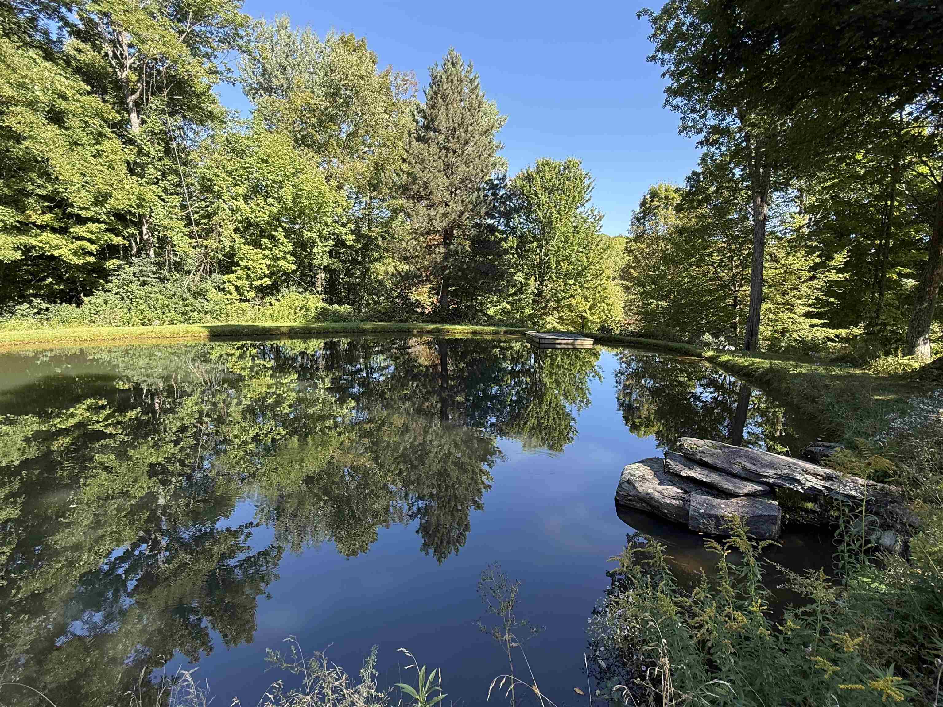 1720 Macintosh Hill Road Property Photo 38