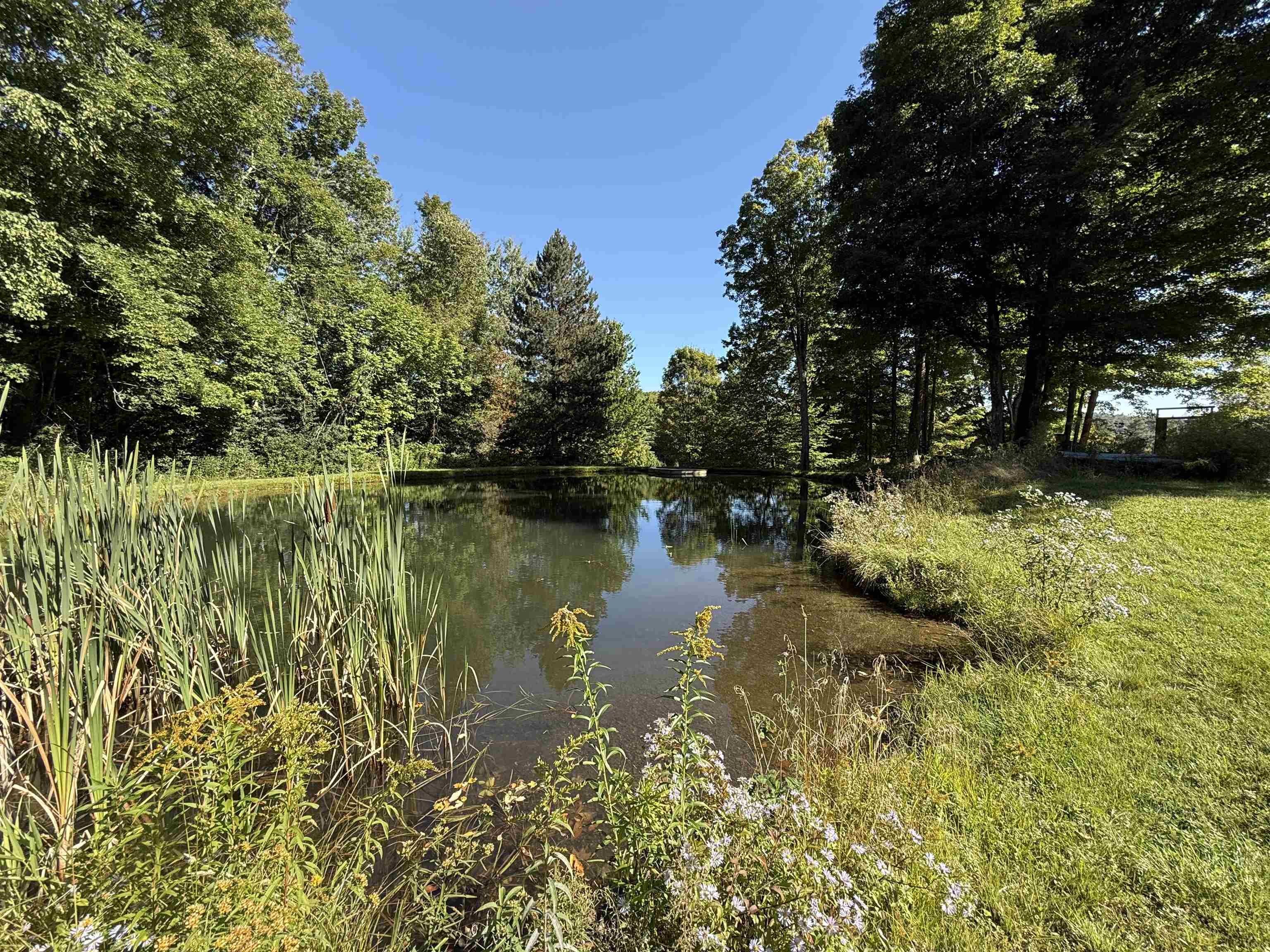 1720 Macintosh Hill Road Property Photo 39