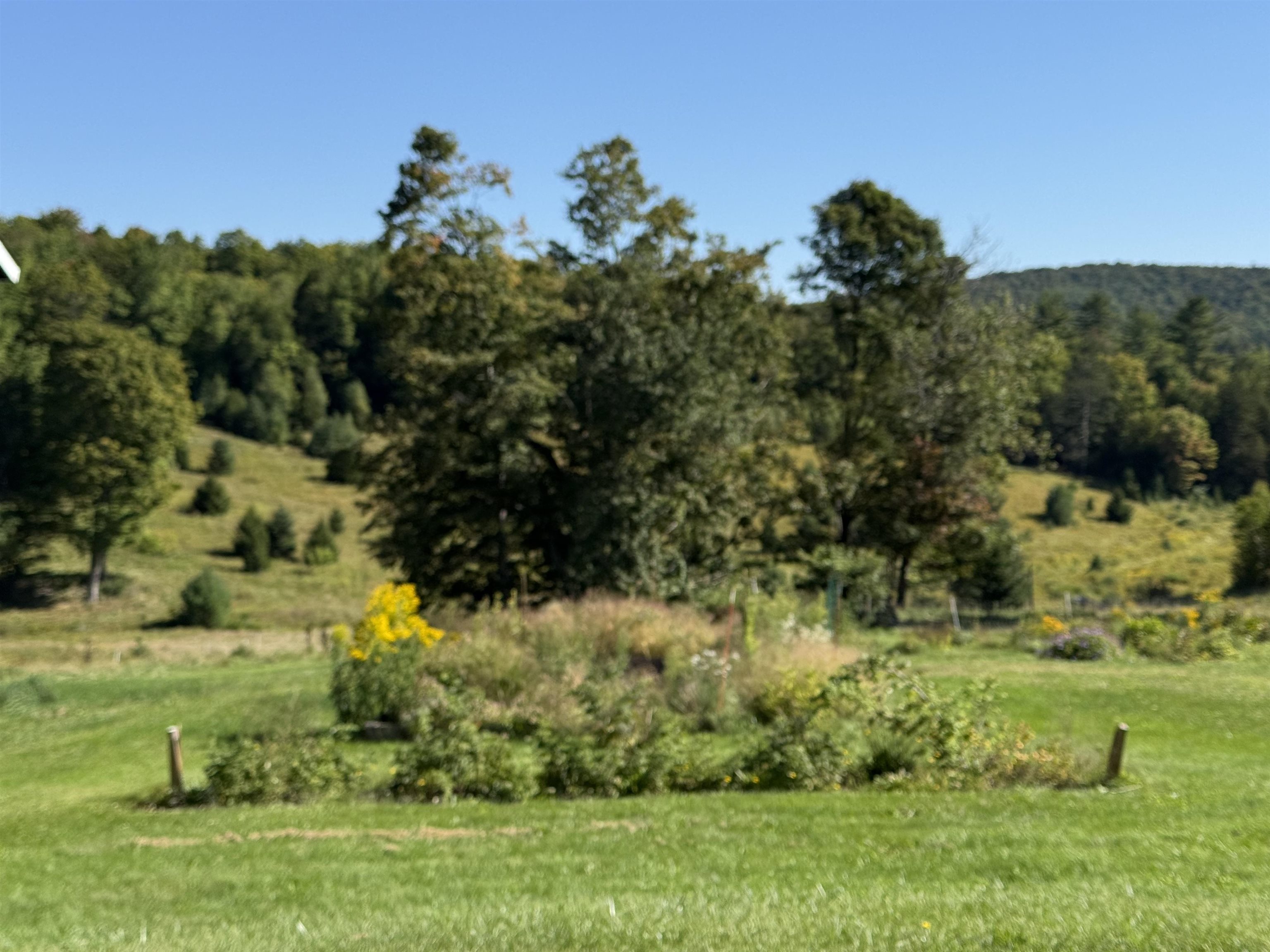 1720 Macintosh Hill Road Property Photo 41