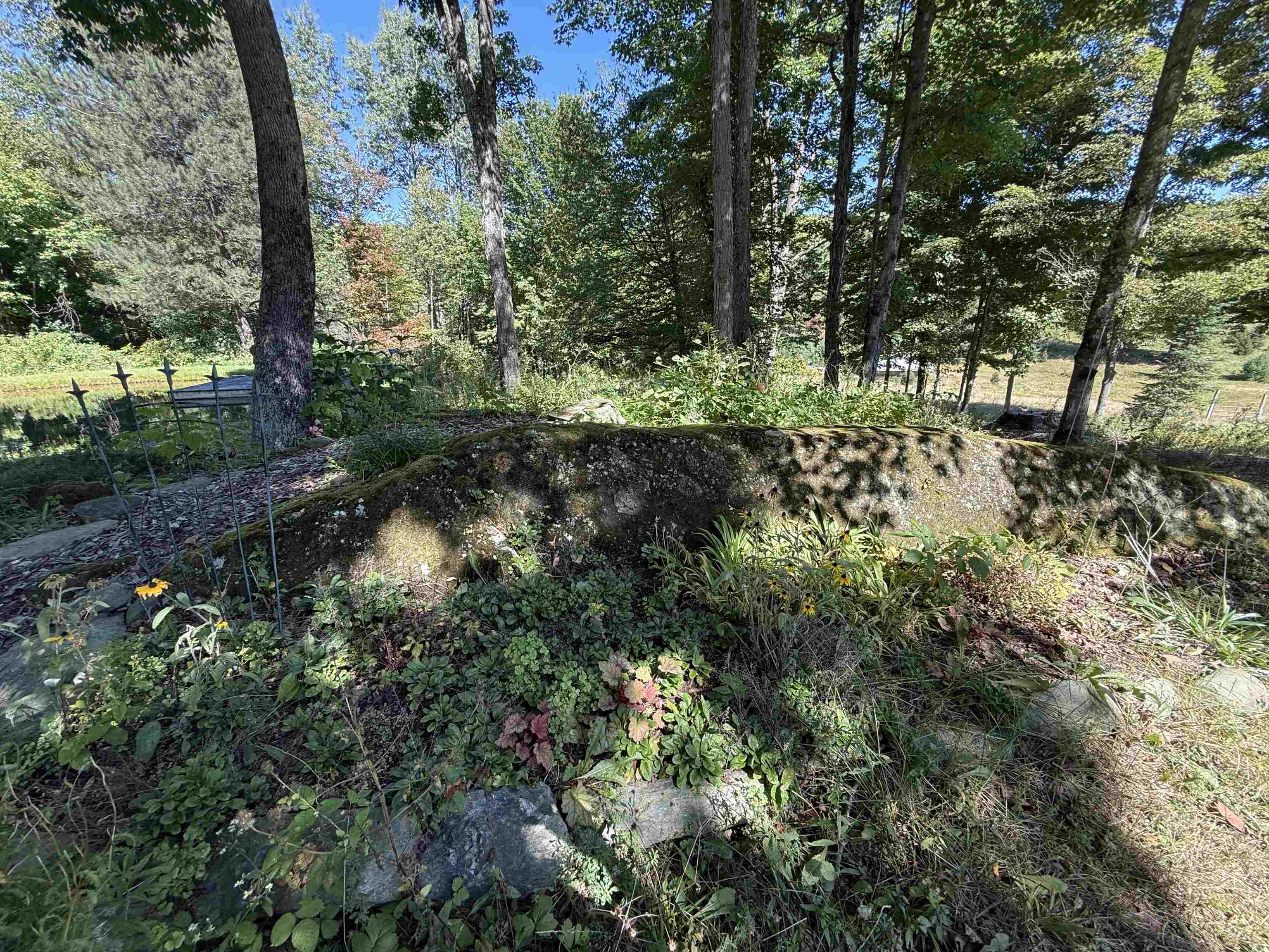 1720 Macintosh Hill Road Property Photo 44