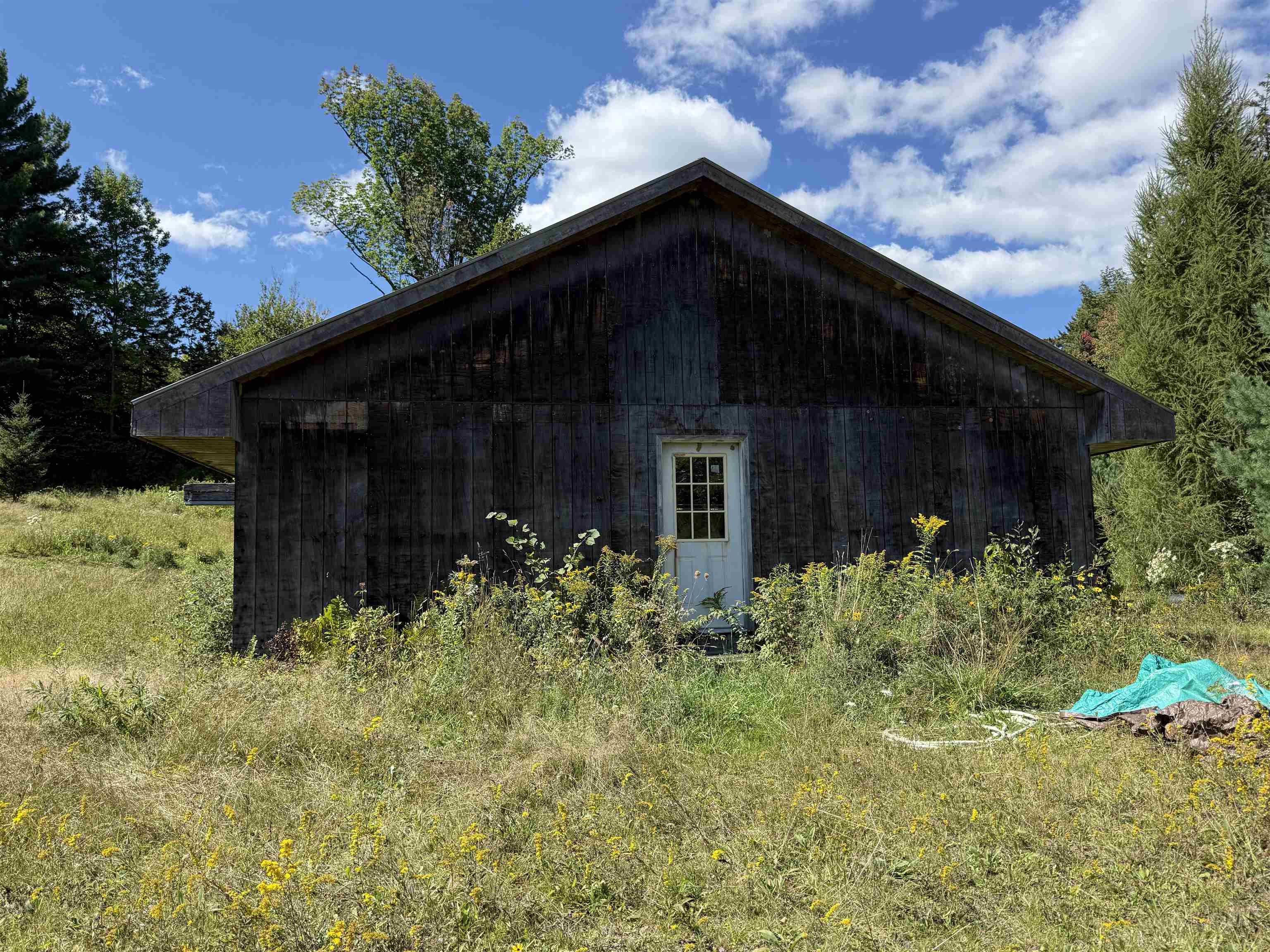 1720 Macintosh Hill Road Property Photo 49