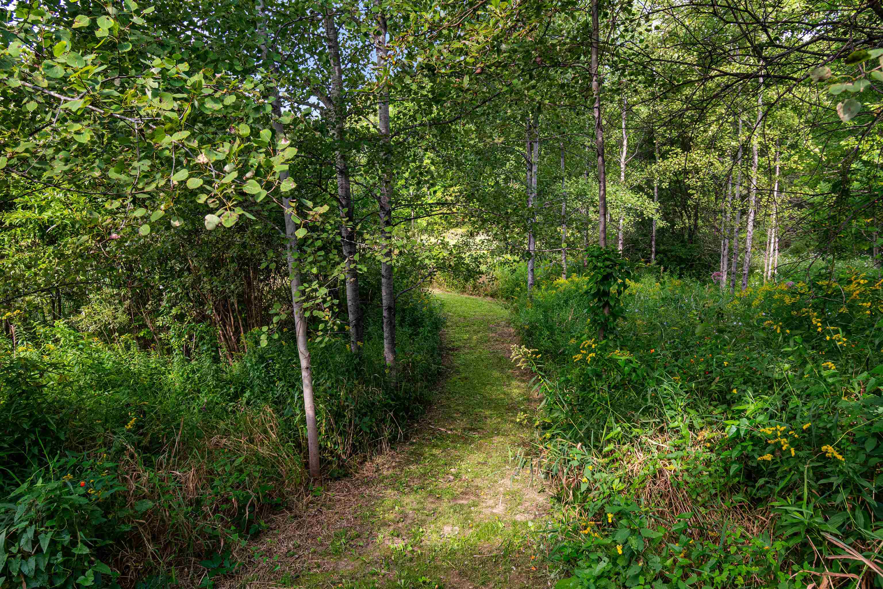 23 Covey Road Property Photo 60