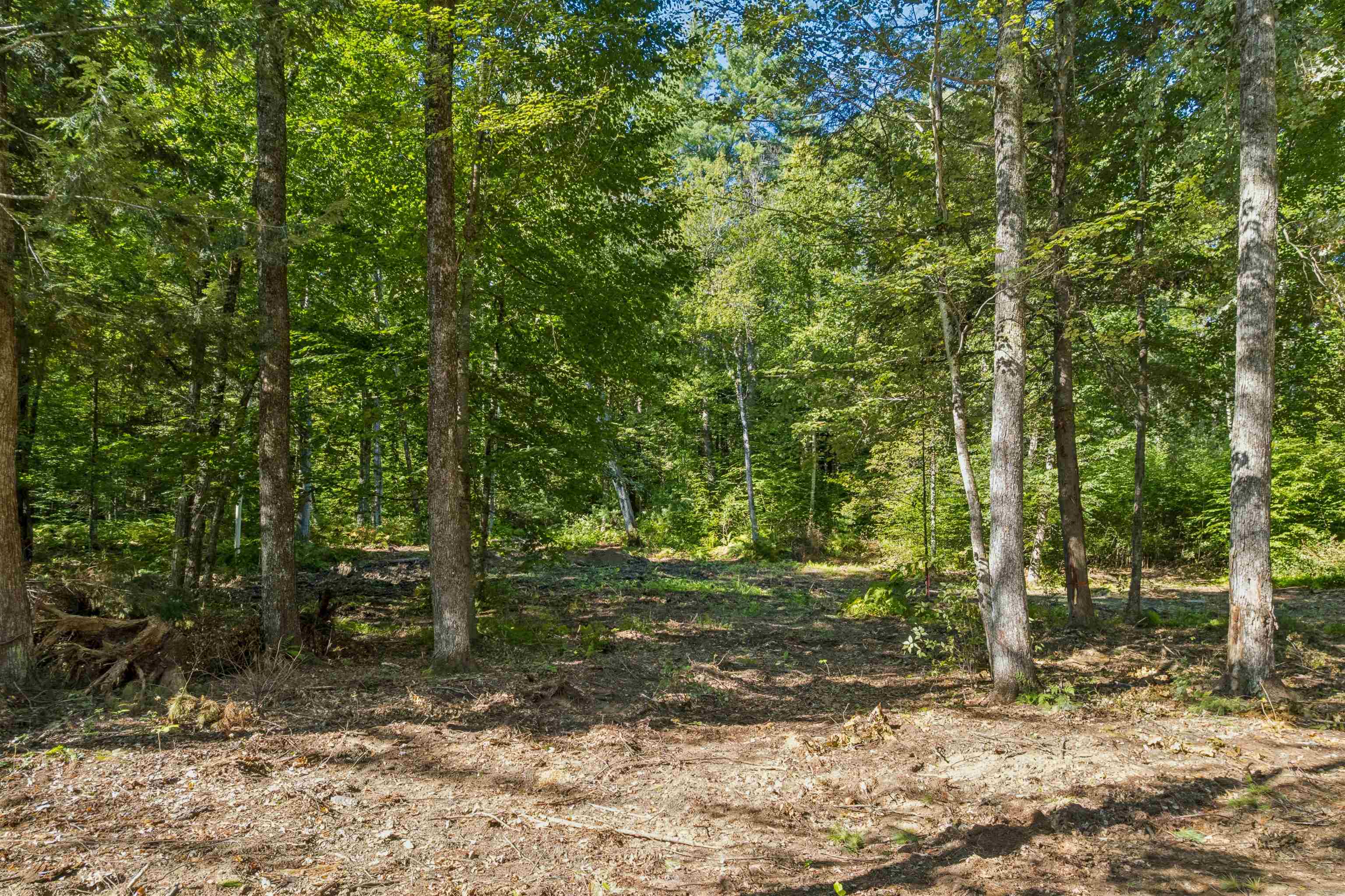 0 Charlestown Road Property Photo 3