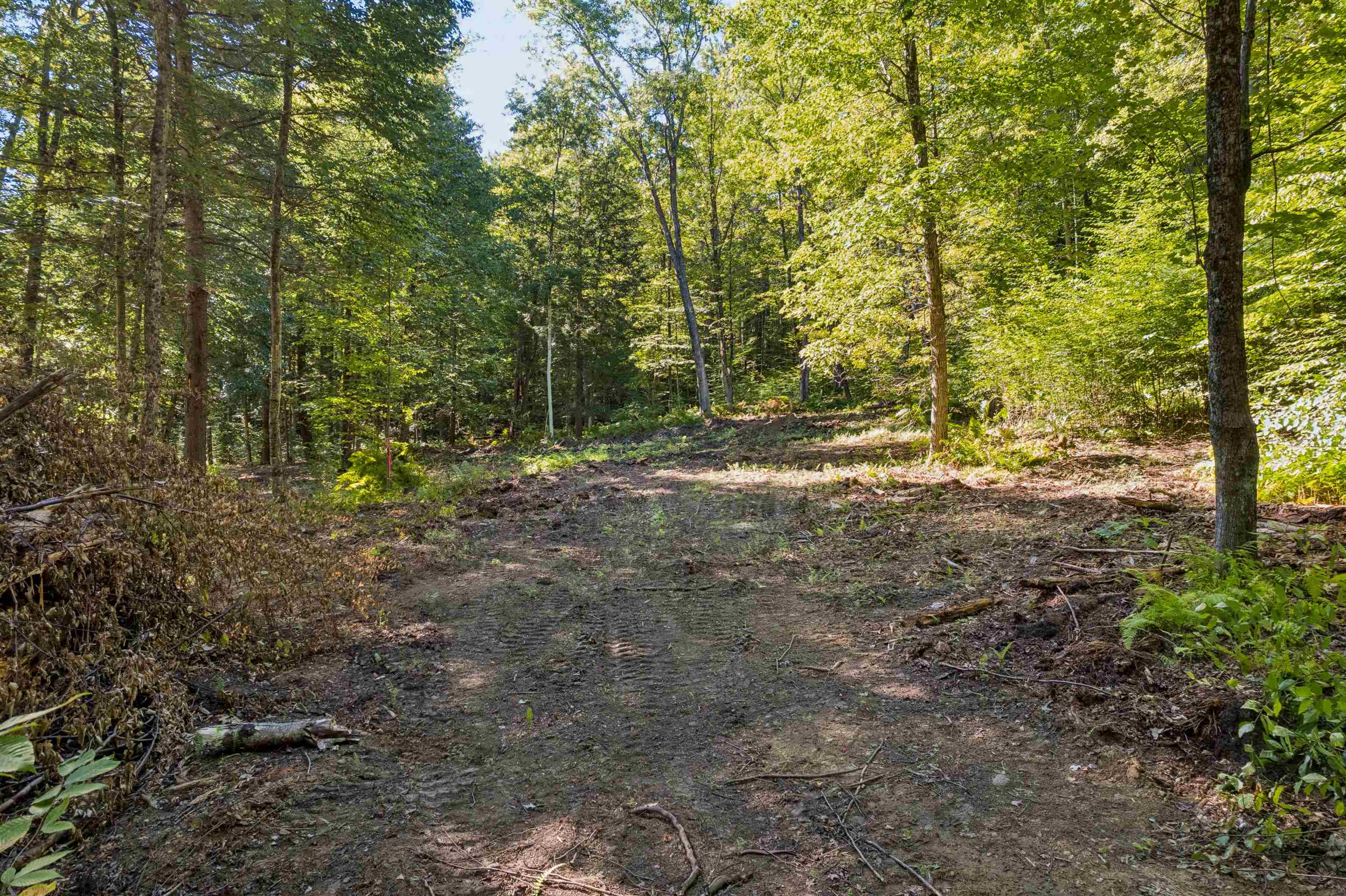 0 Charlestown Road Property Photo 4