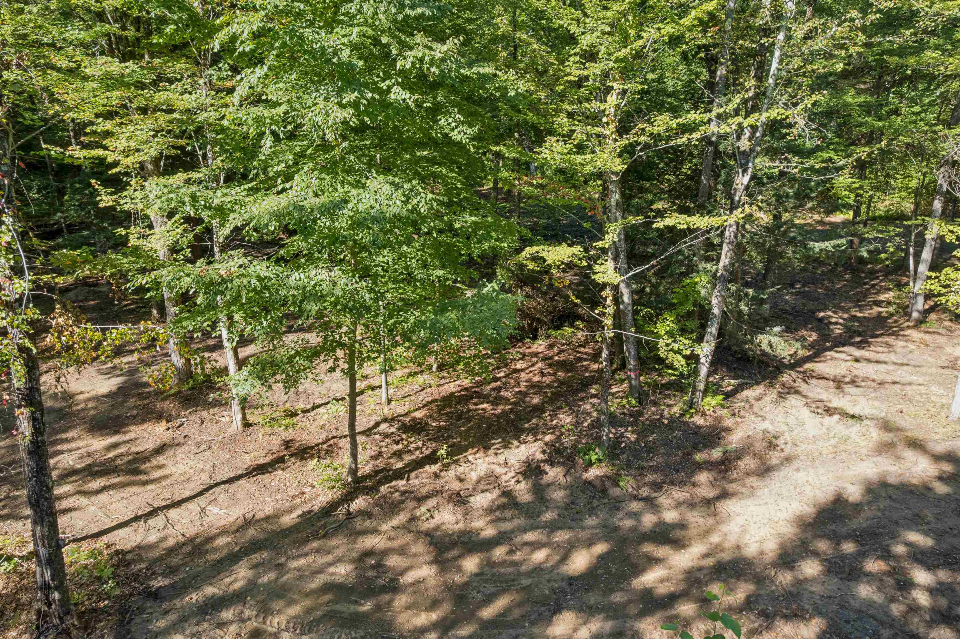 0 Charlestown Road Property Photo 8