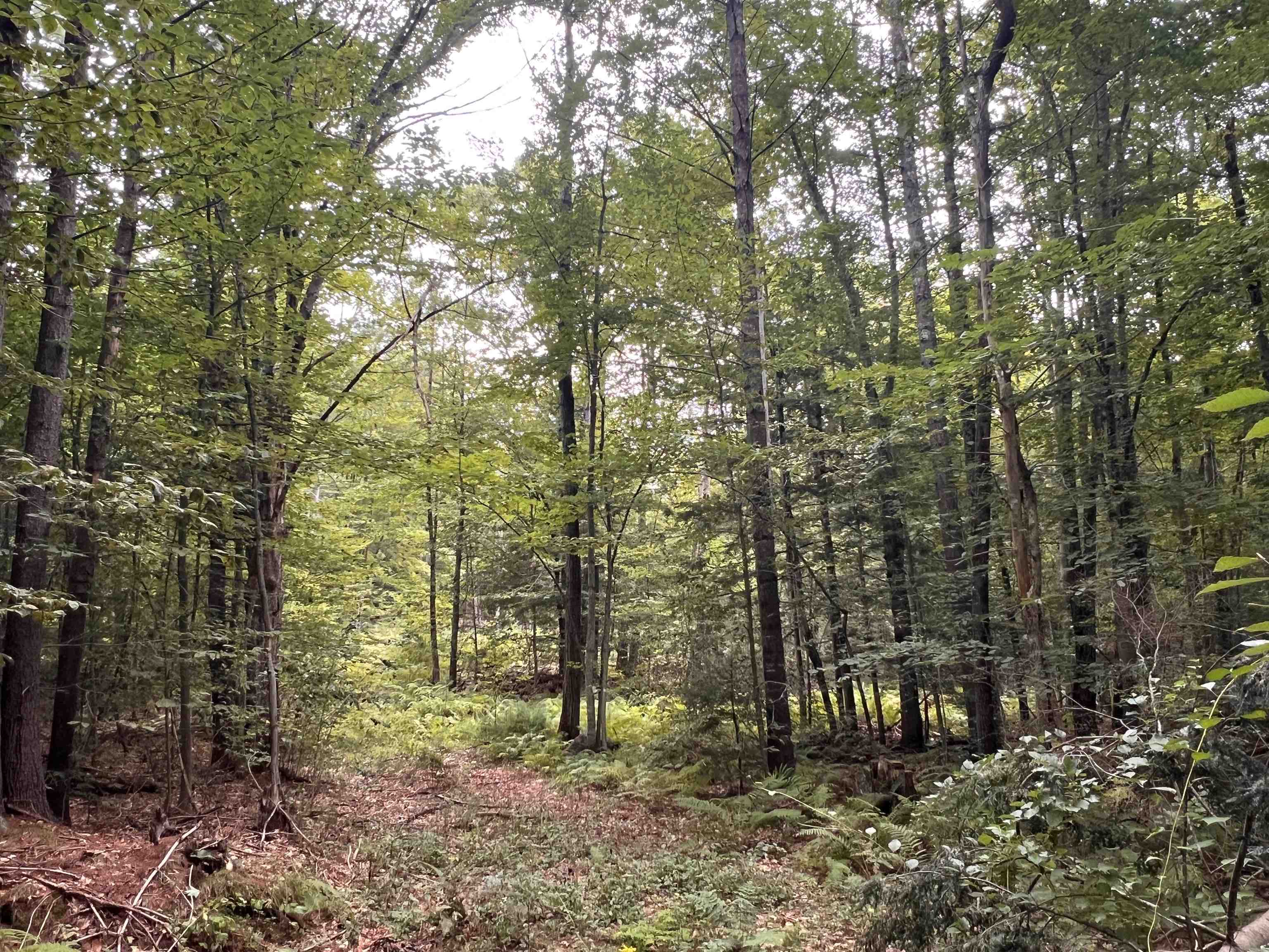 11c291 Second Nh Turnpike Property Photo 3