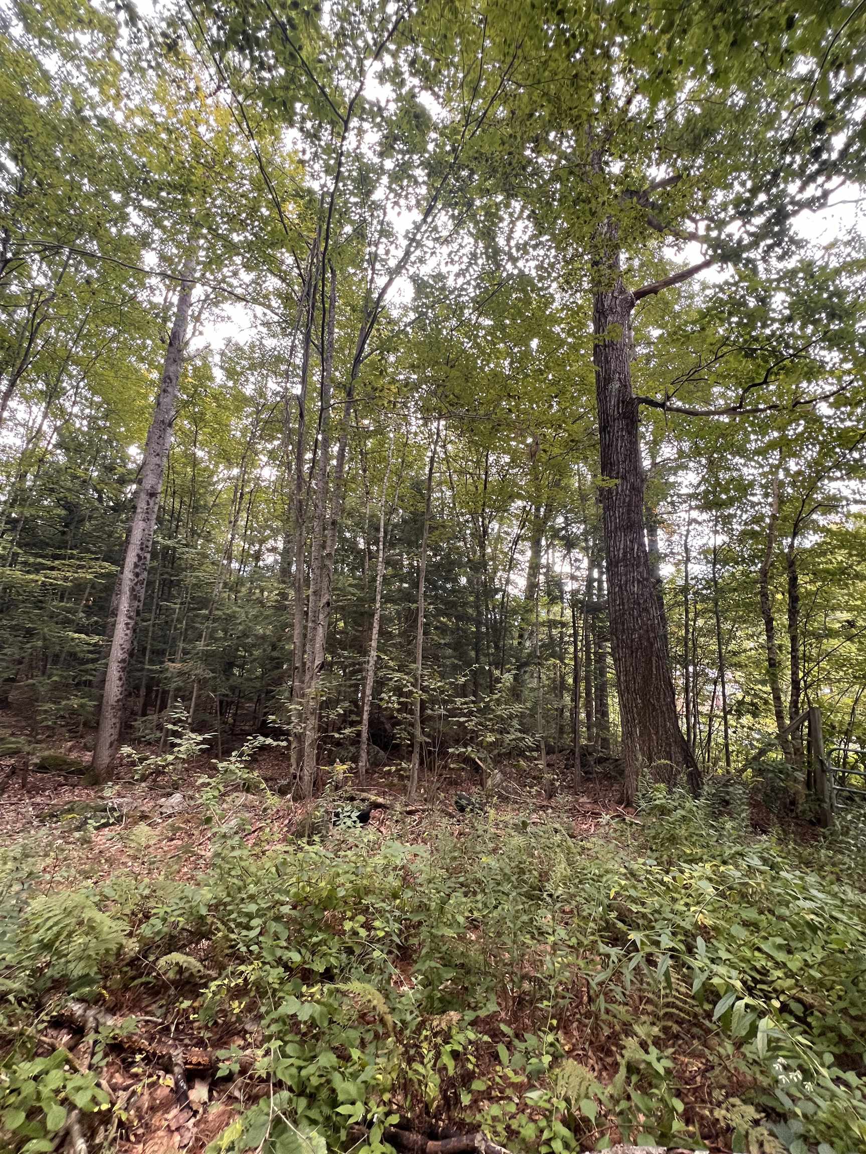 11c291 Second Nh Turnpike Property Photo 13