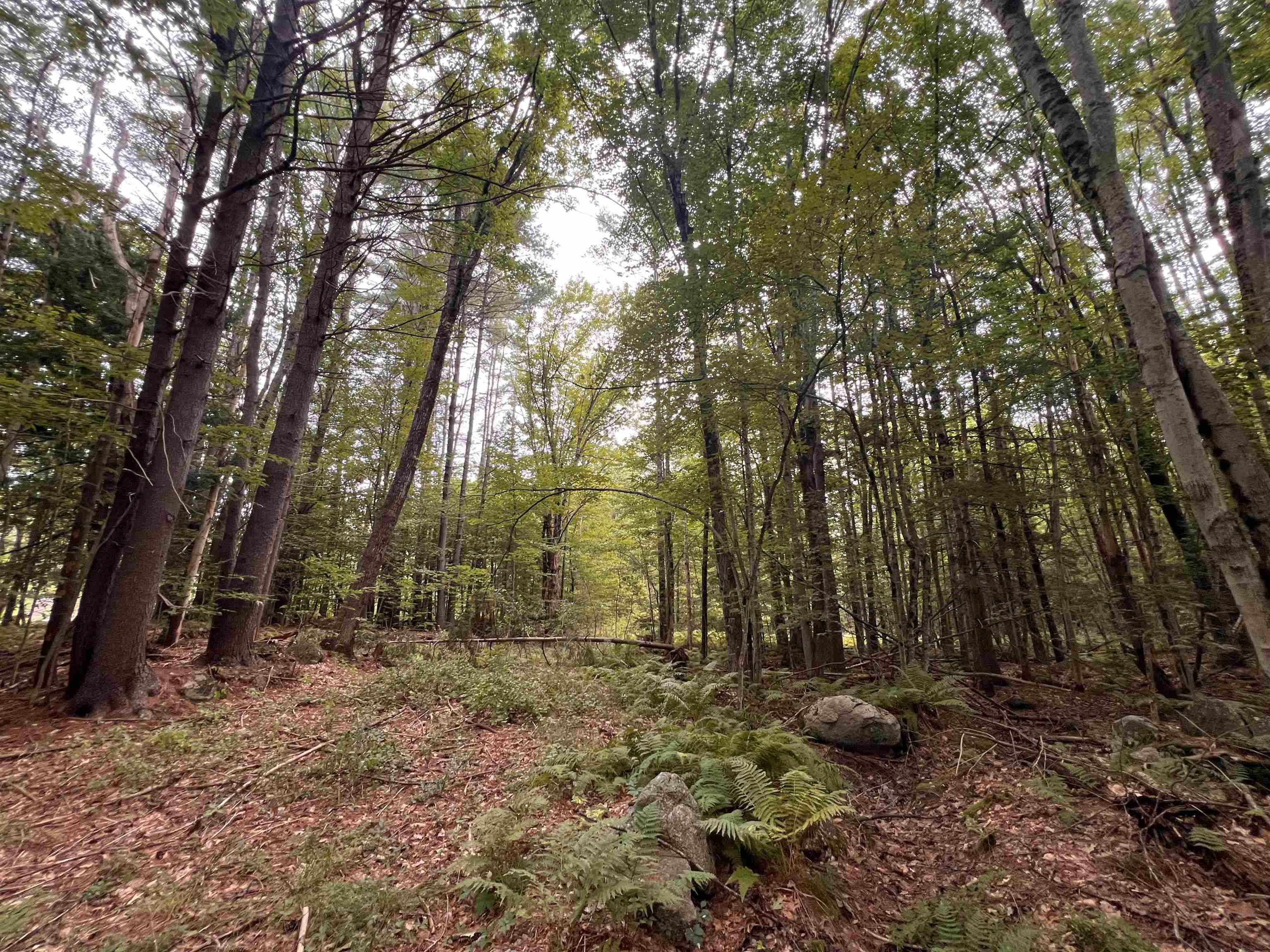 11c291 Second Nh Turnpike Property Photo 14