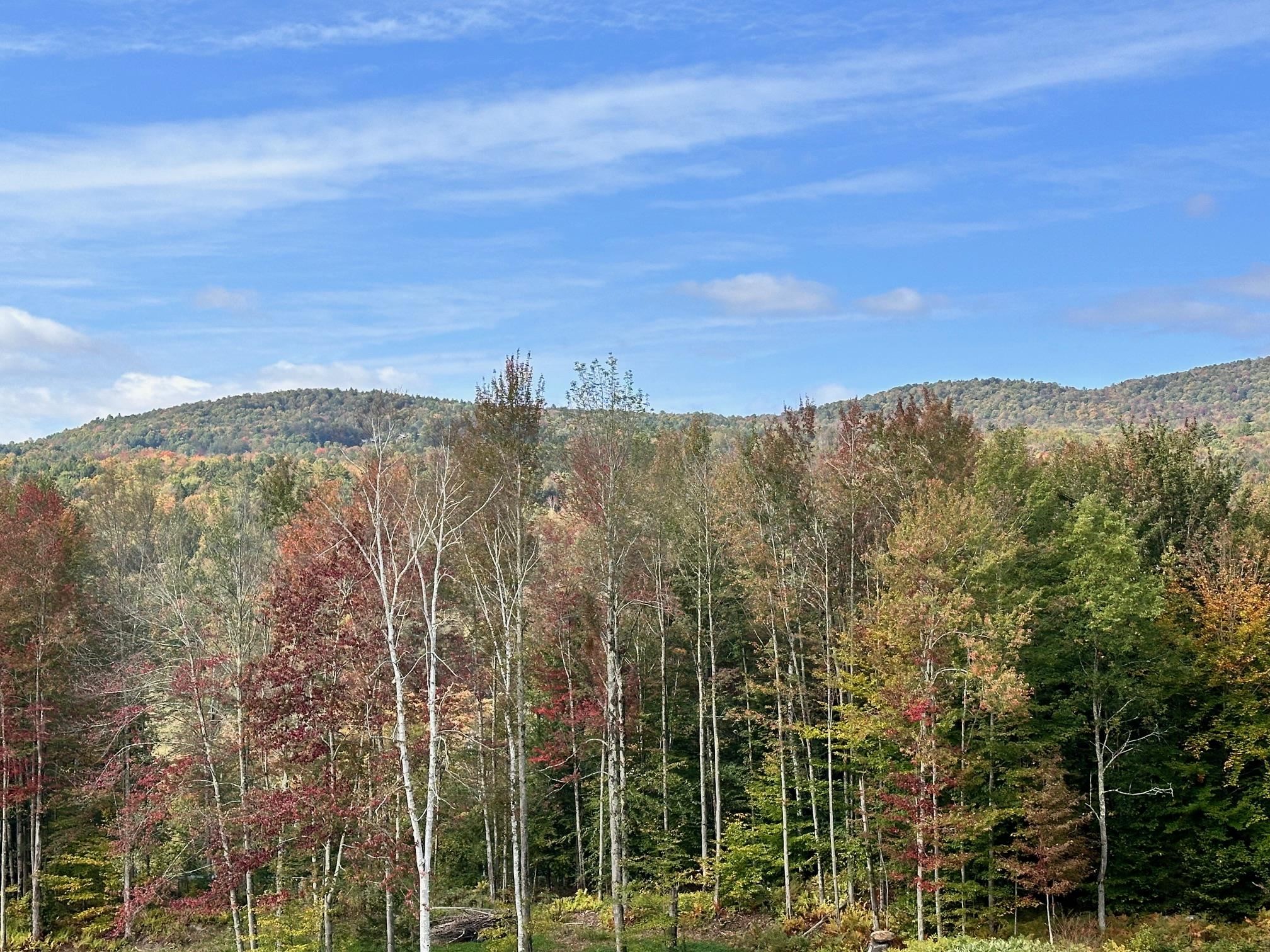 2364 Mountain Road Property Photo 2