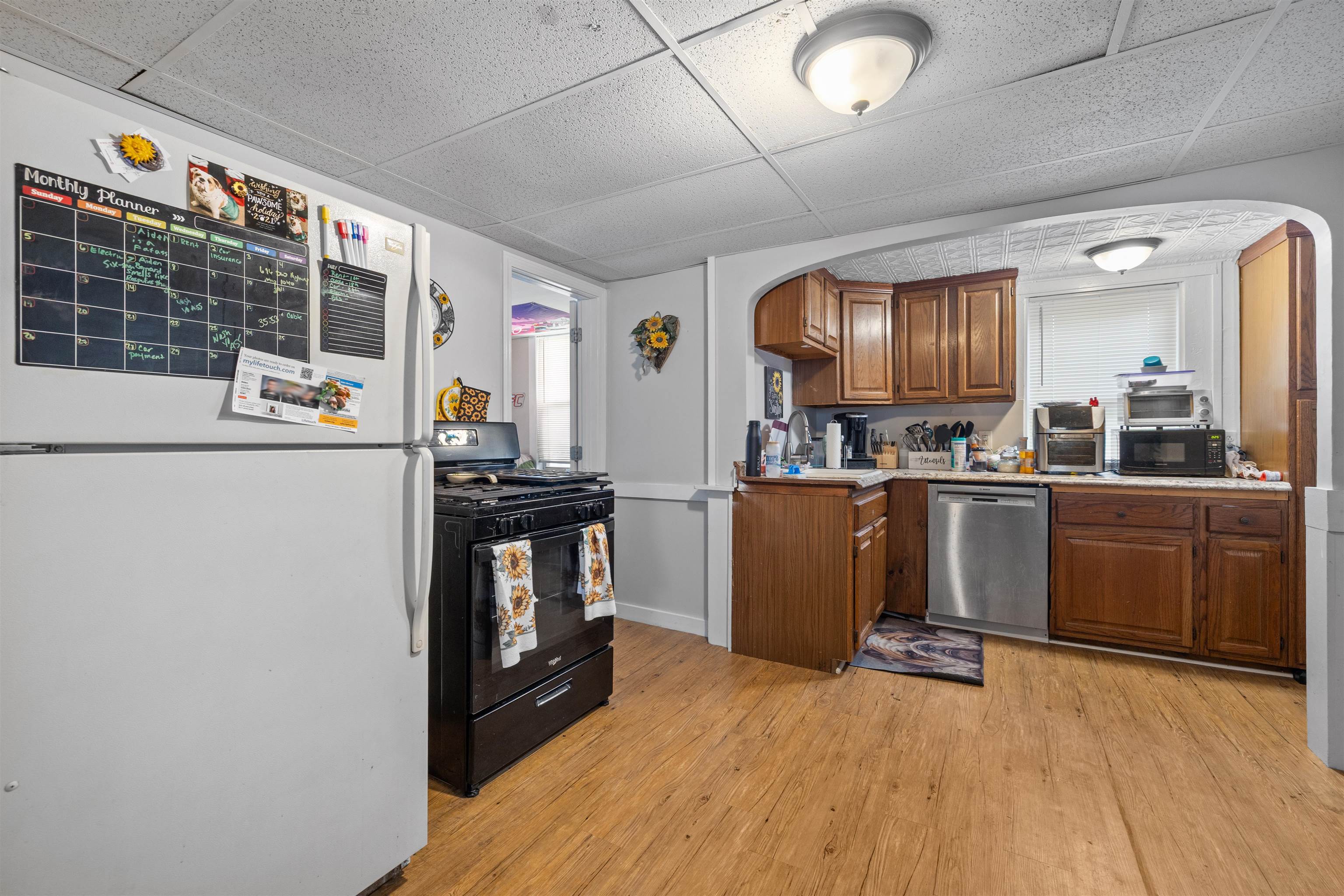 10 Mulberry Street Property Photo 29