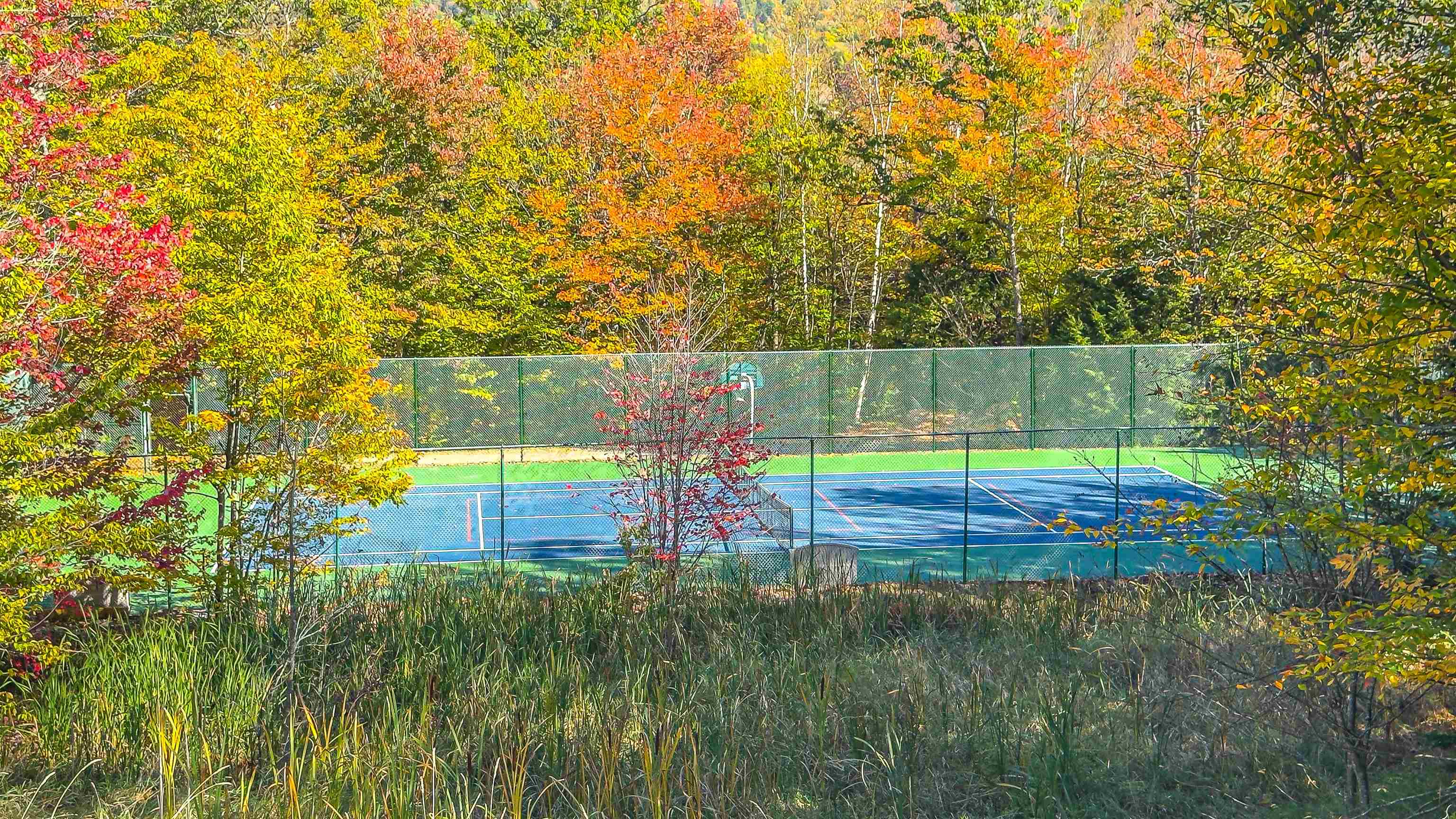 24 Nordic Wilderness Road Property Photo 40