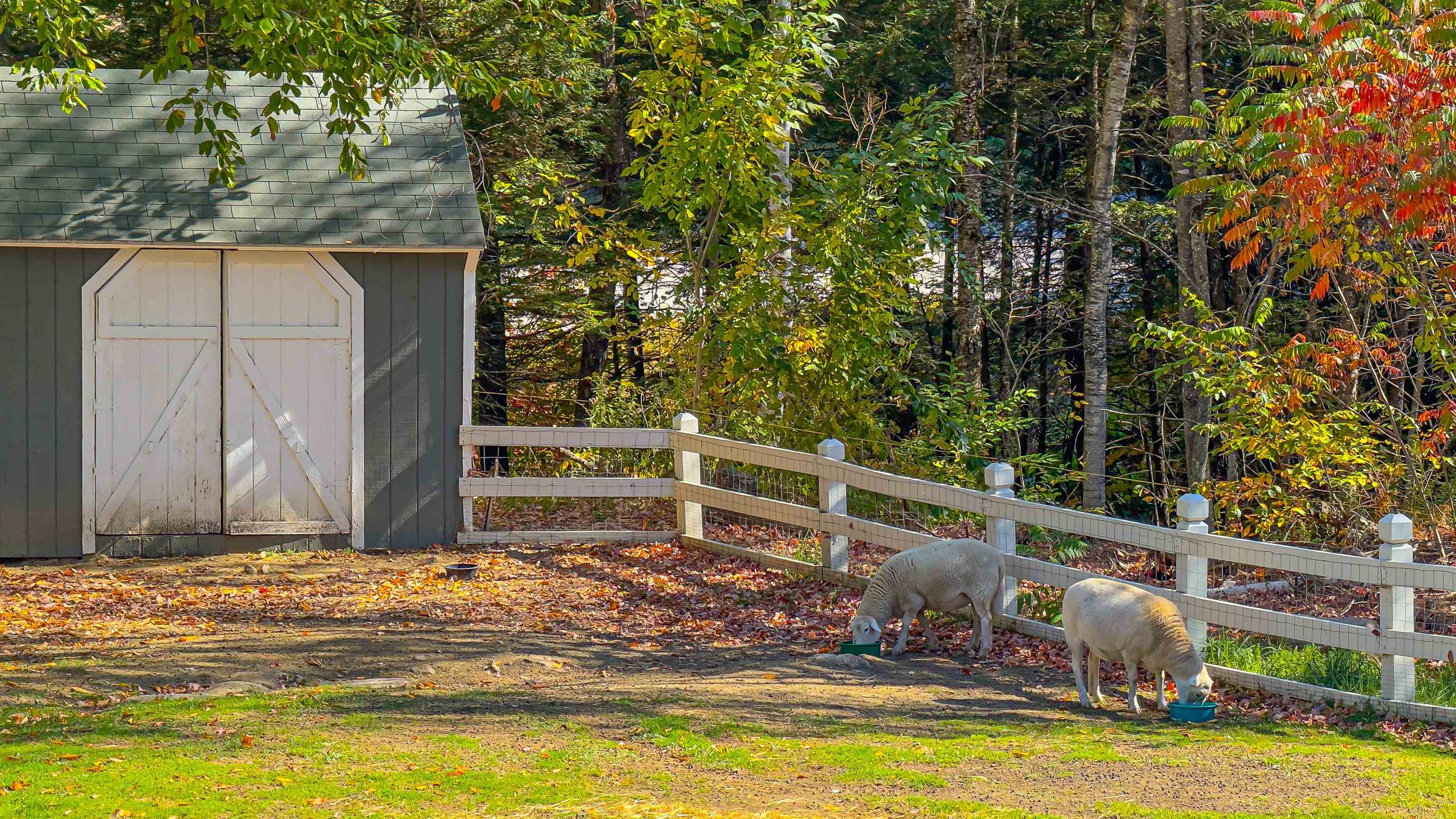 24 Nordic Wilderness Road Property Photo 44