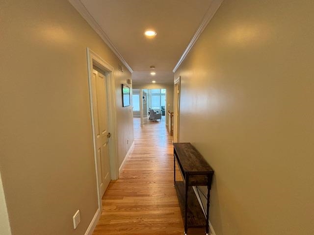 3 Falcon Lane Property Photo 3