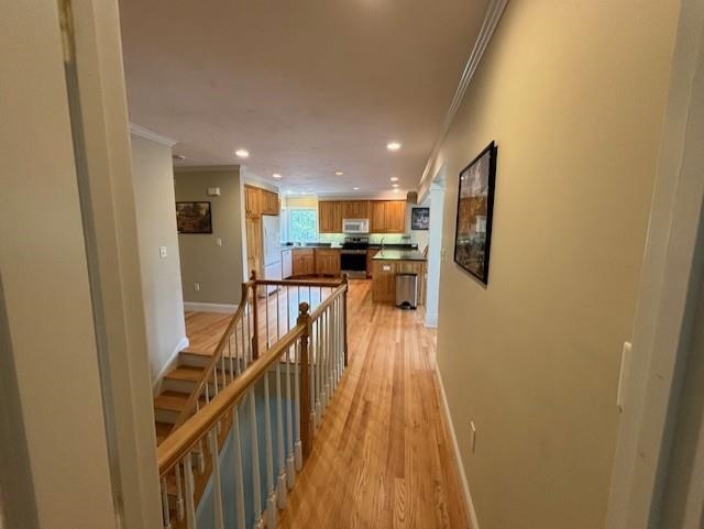 3 Falcon Lane Property Photo 35