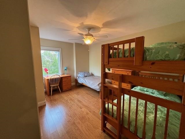 3 Falcon Lane Property Photo 50