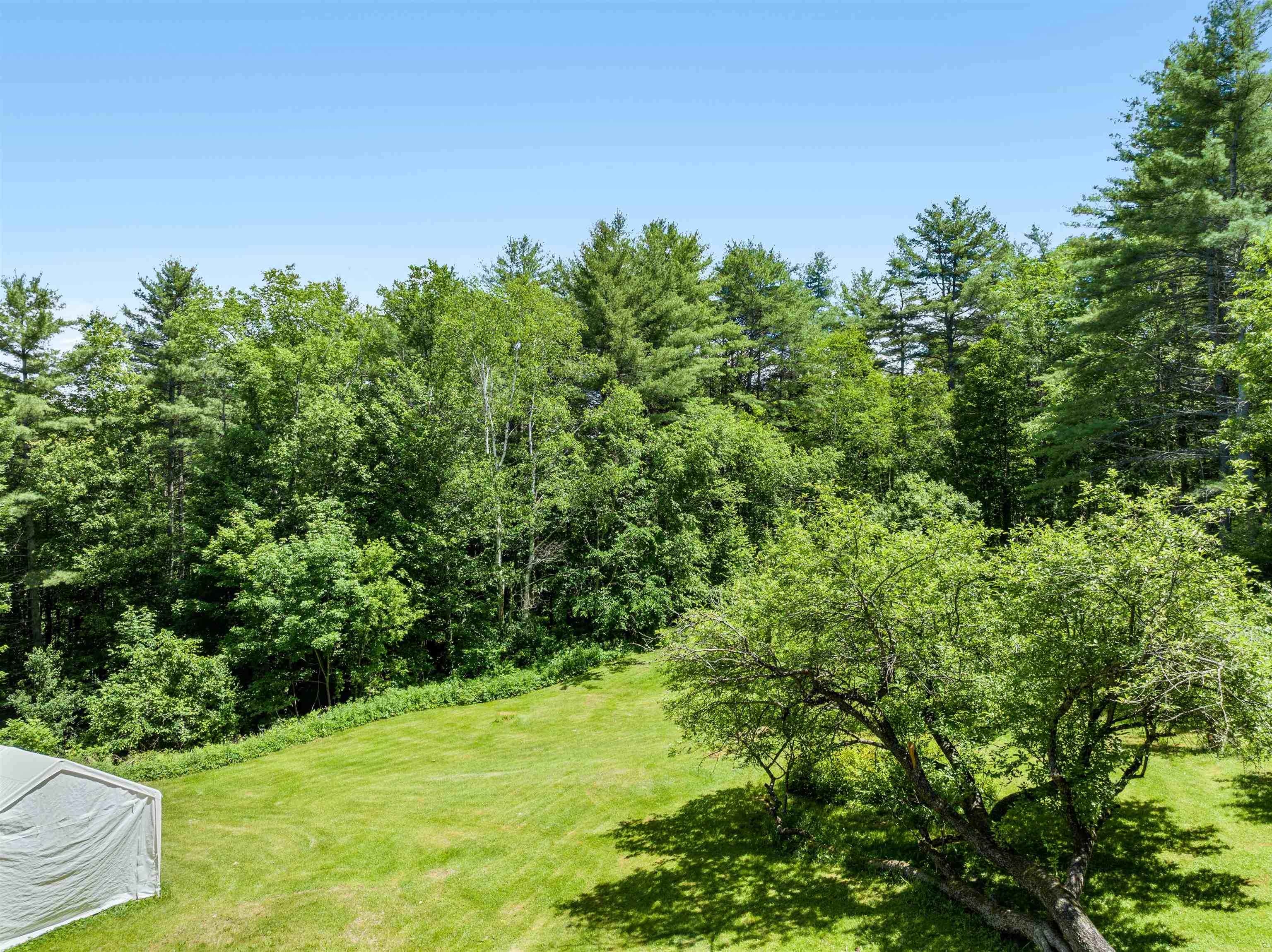 642 Hill Street Property Photo 35