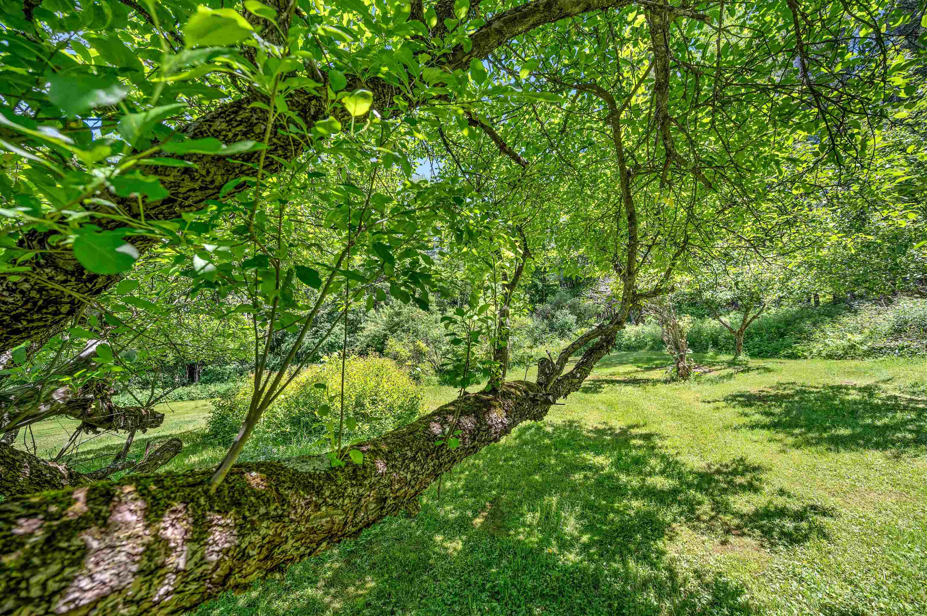 642 Hill Street Property Photo 36