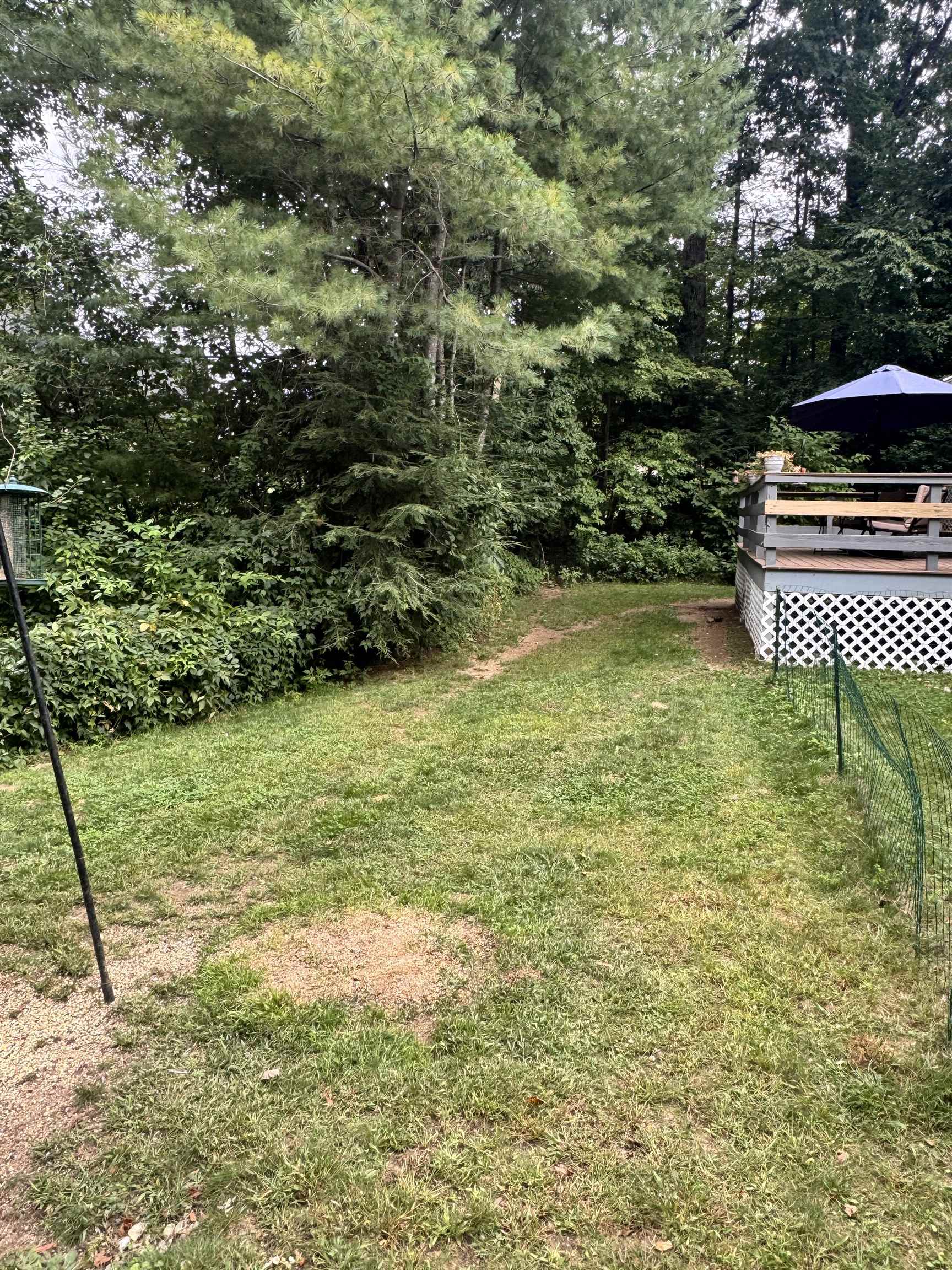 130 Mountain Road Property Photo 25