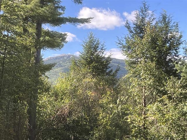 130 Mountain Road Property Photo 29