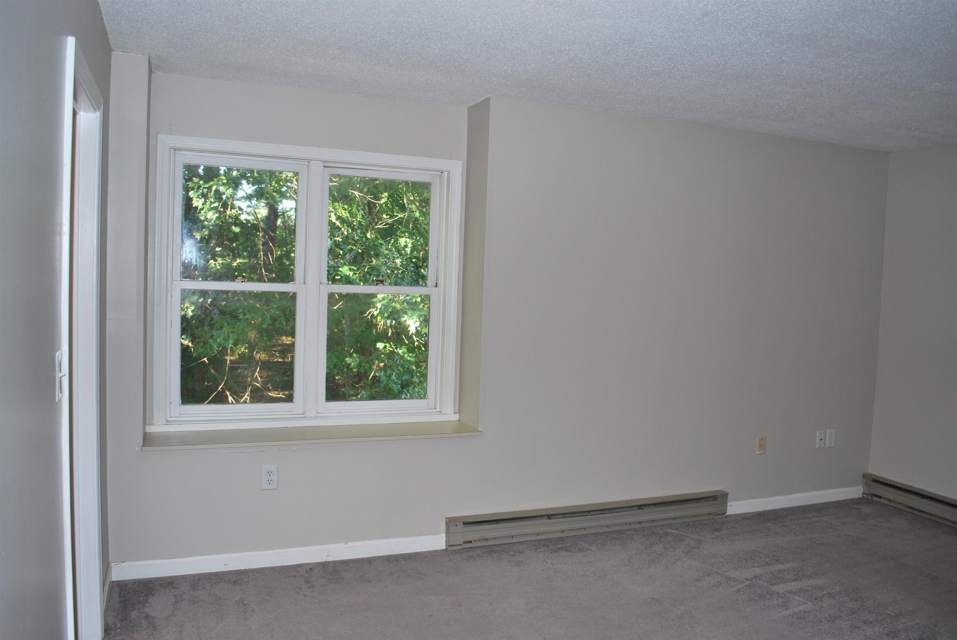 14 Turnbuckle Lane Property Photo 15