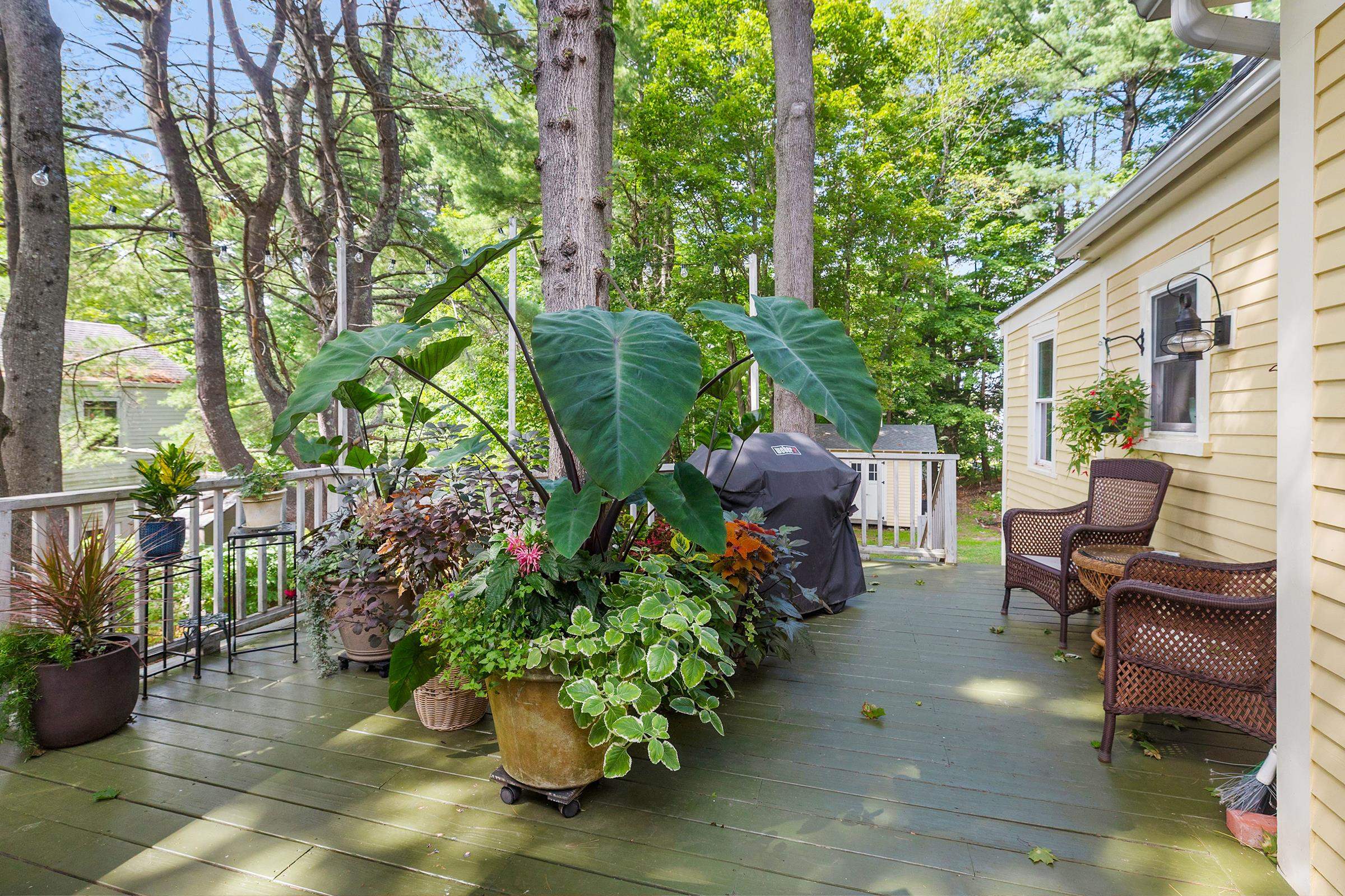 59 Maple Street Property Photo 12