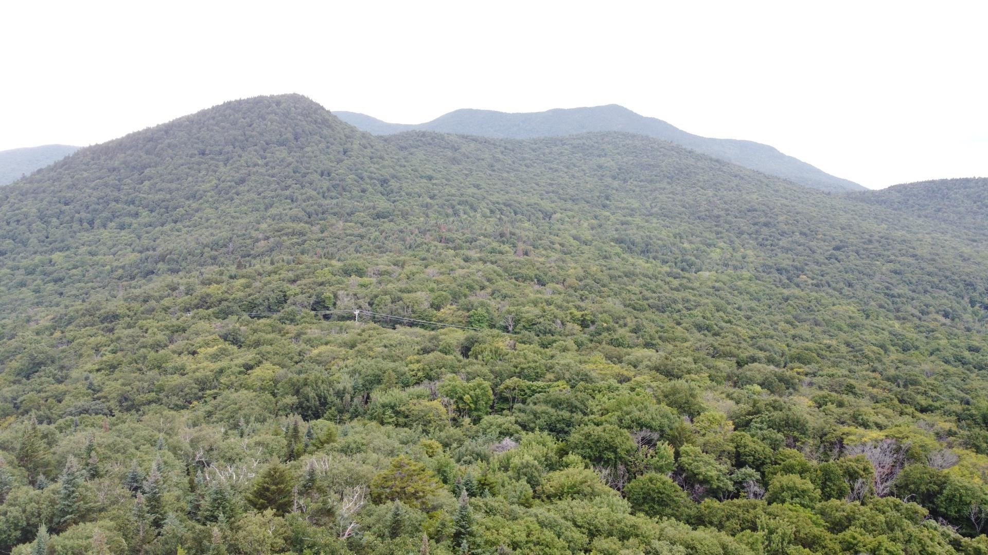 1765 Stevens Mill Road Property Photo 11